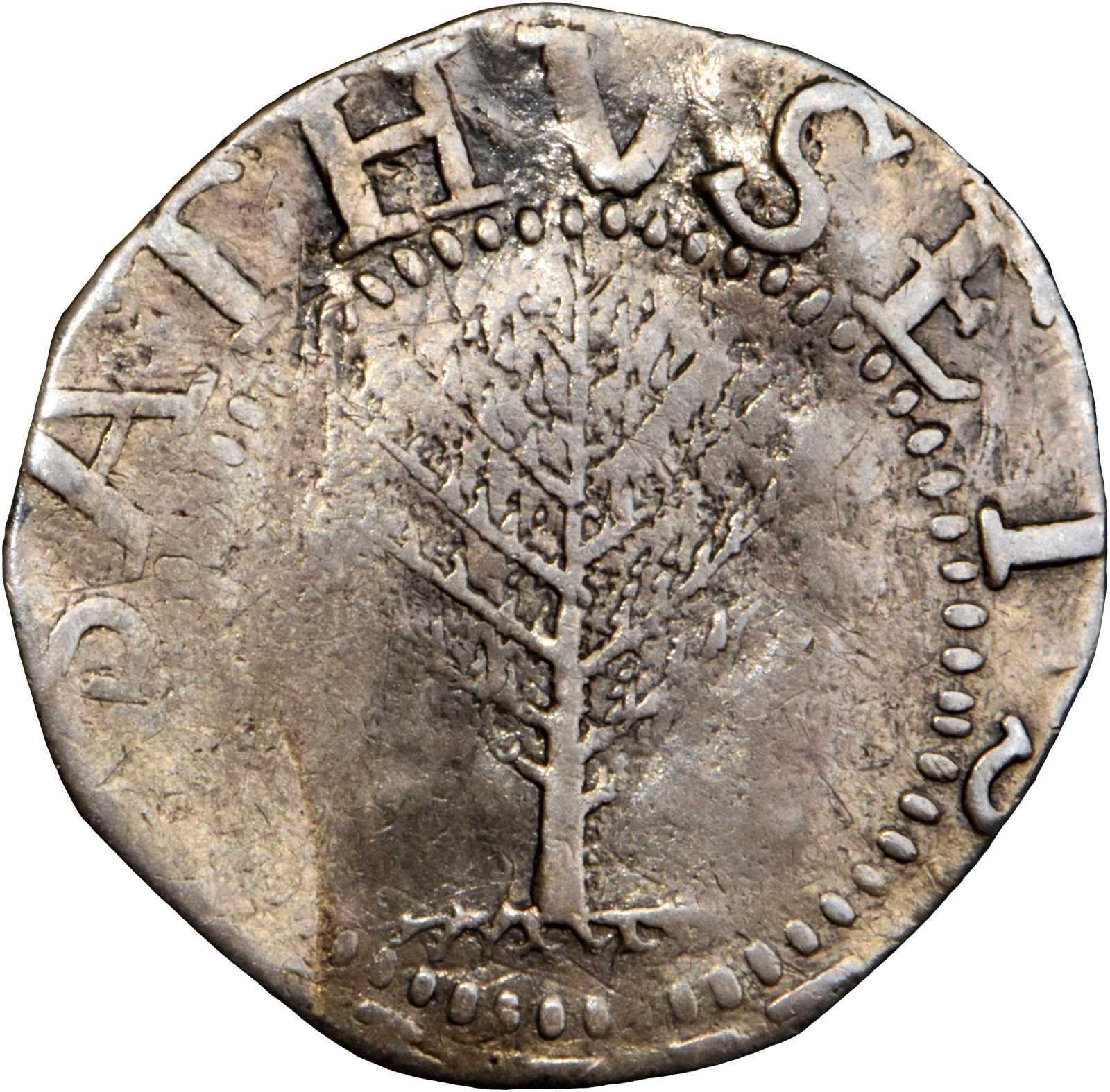 1652 Pine Tree Shilling. Large Planchet. Noe-2, Salmon 2-C, W-700. Rarity-4. Without Pellets at Trunk. VF-30 (PCGS).