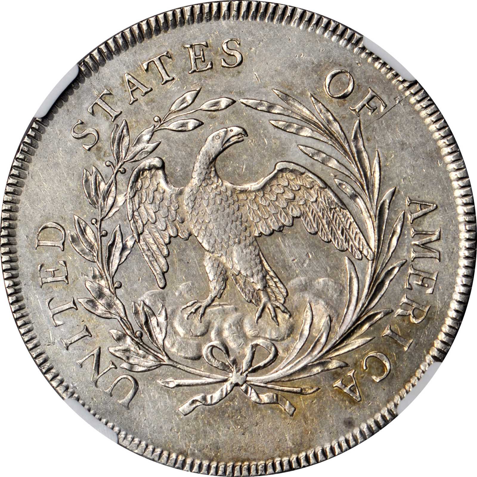 1795 $1  Draped Bust, Off-Center Bust, B-14, BB-51 P1 thumbnail 8