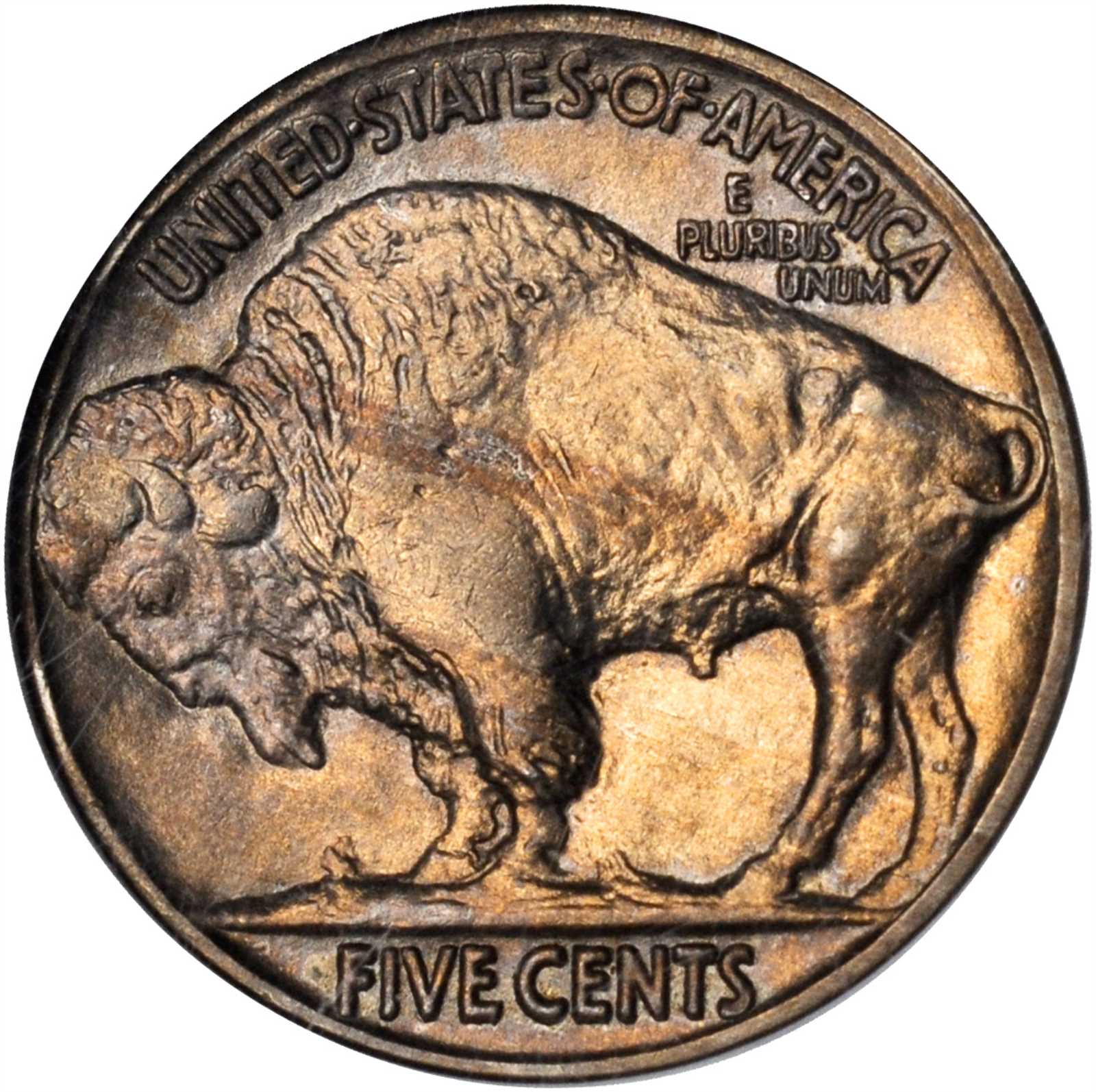 1913 5c Buffalo, Type 2, DDR, FS-1801 MS60 thumbnail 4