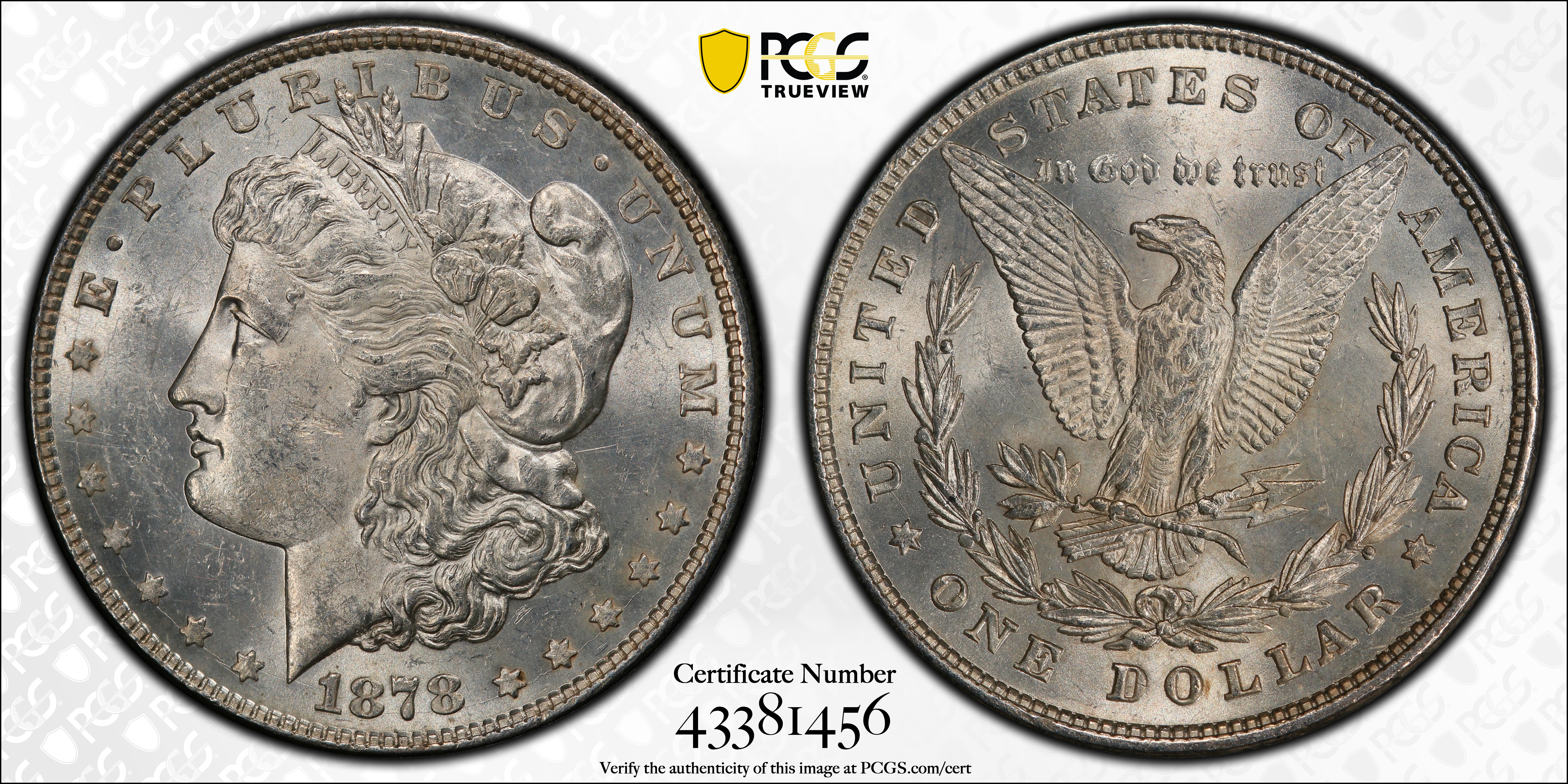 1878 8TF Pierced Eyelid One Dollar VAM 6 MS Values | Greysheet