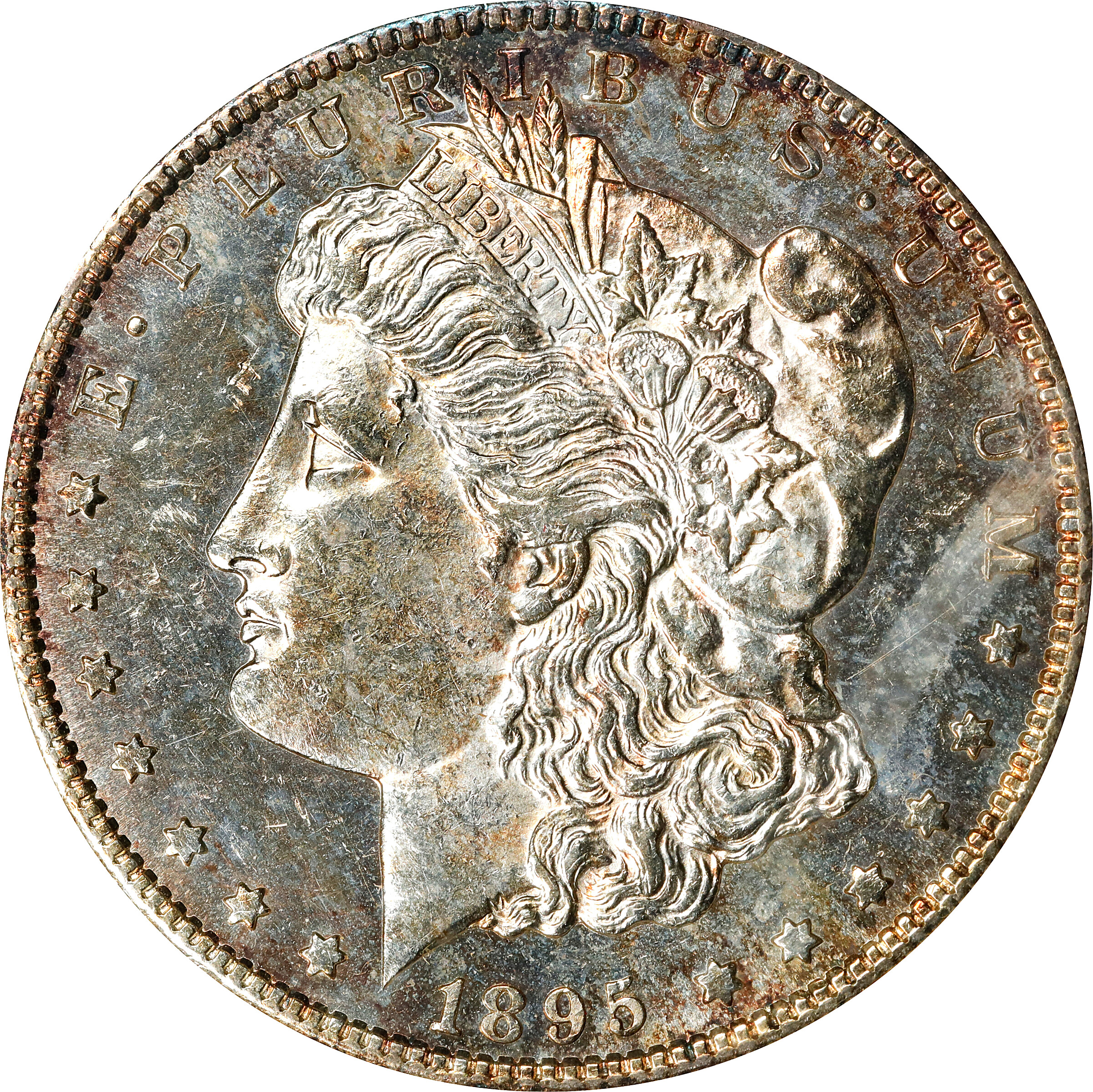 1895-S Morgan Silver Dollar. VAM-4. Top 100 Variety. S/Horizontal S. MS-62 DMPL (ANACS). OH.