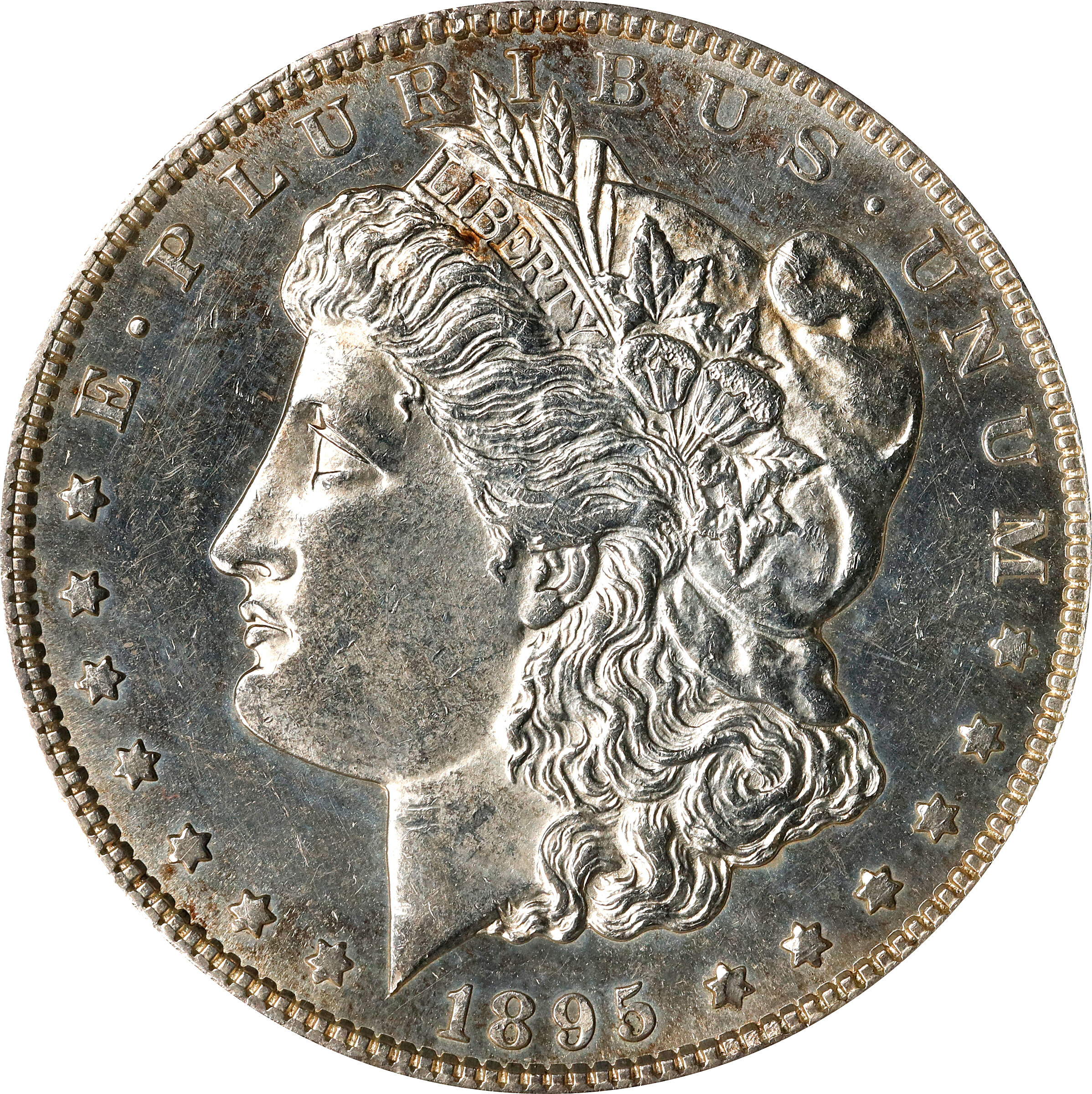1895-S Morgan Silver Dollar. VAM-4. Top 100 Variety. S/Horizontal S. MS-60 PL (ANACS).