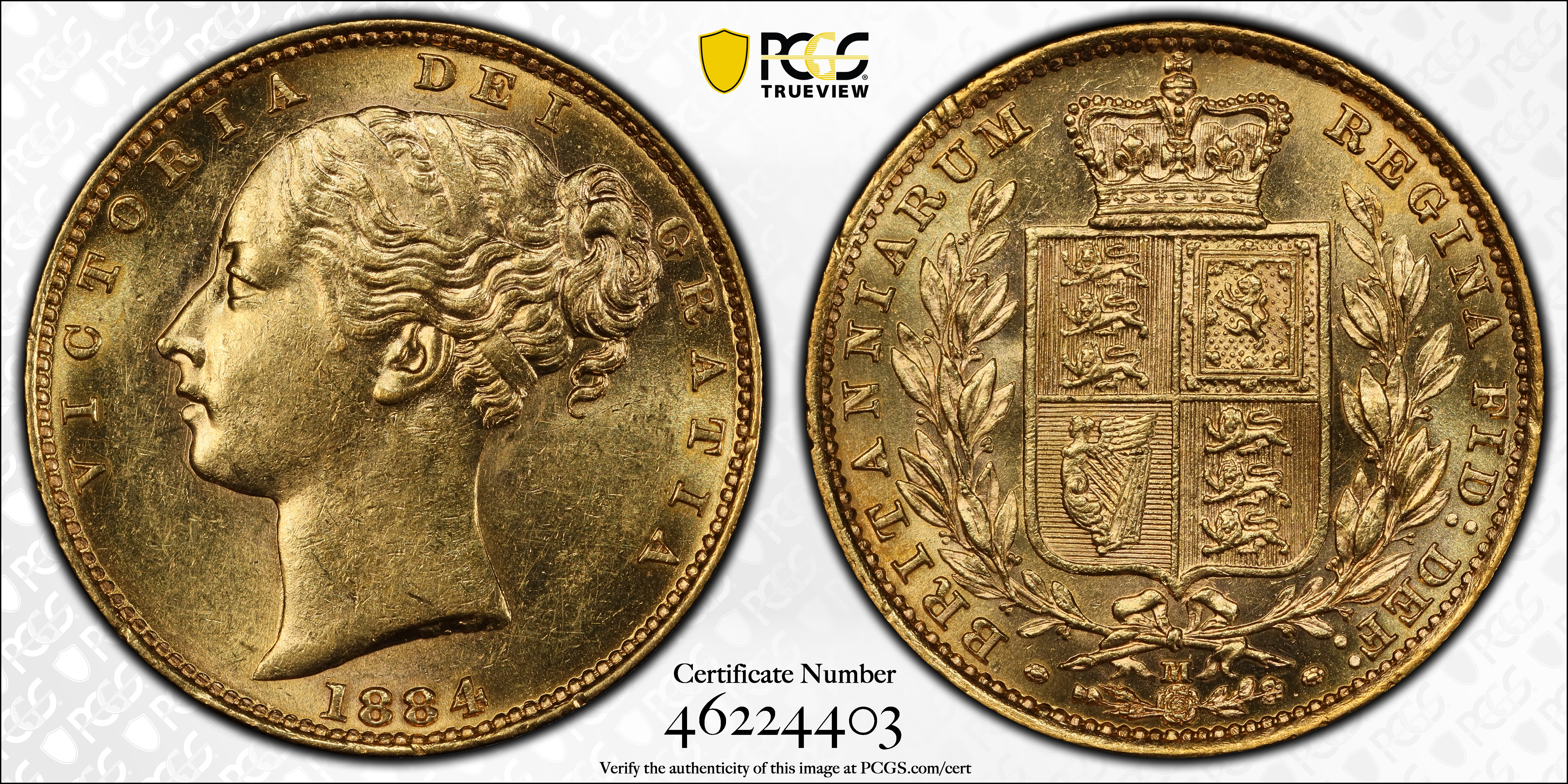 1884-M     Sov    Shield MS (KM #6) thumbnail 4