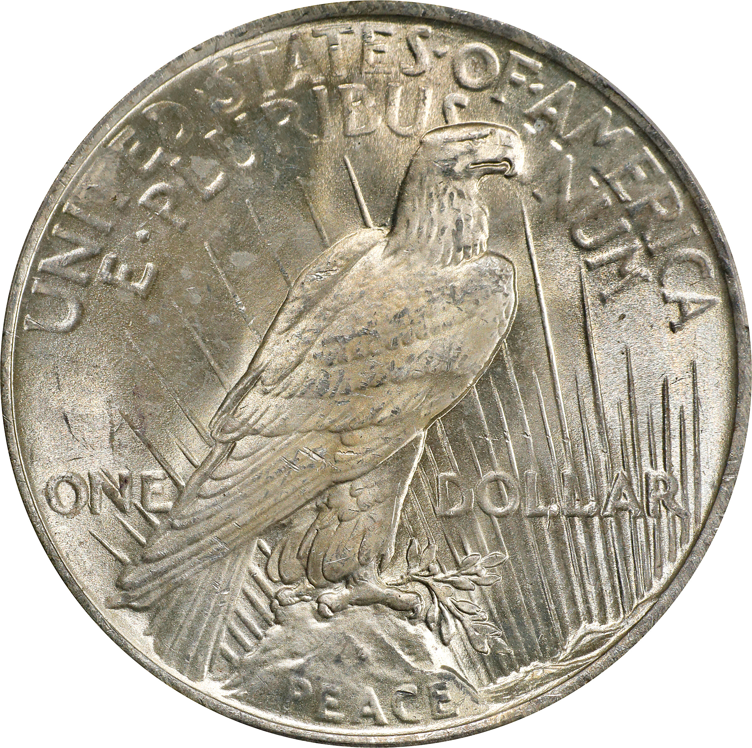 1923 $1  Whisker Cheek, VAM-1D MS63 CAC thumbnail 5
