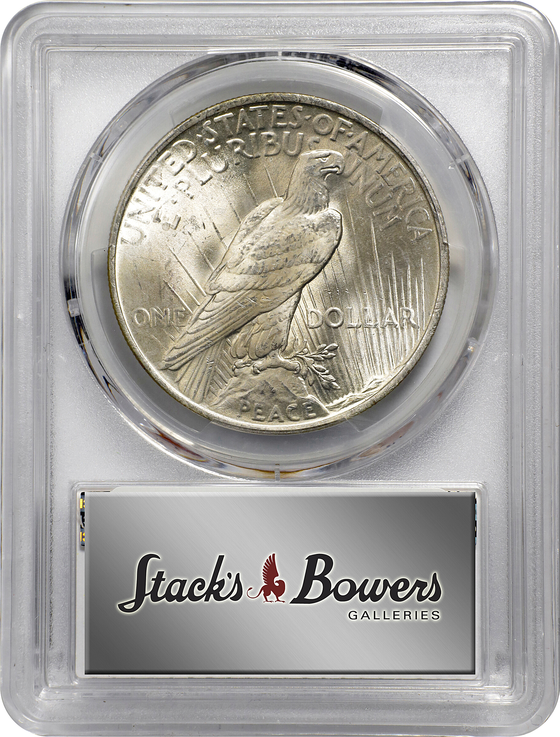 1923 $1  Whisker Cheek, VAM-1D MS63 CAC thumbnail 7