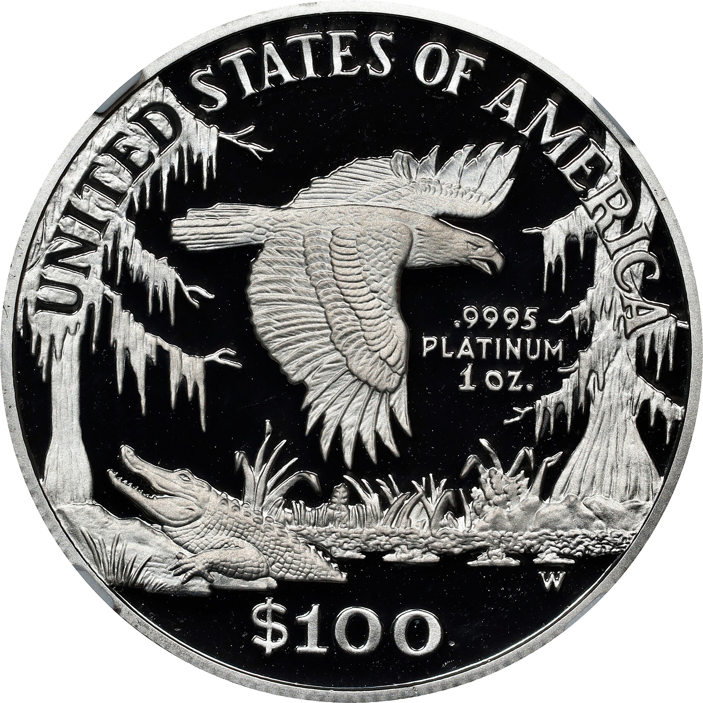 1999-W P$100  Platinum Eagle PR DCAM OGP thumbnail 24