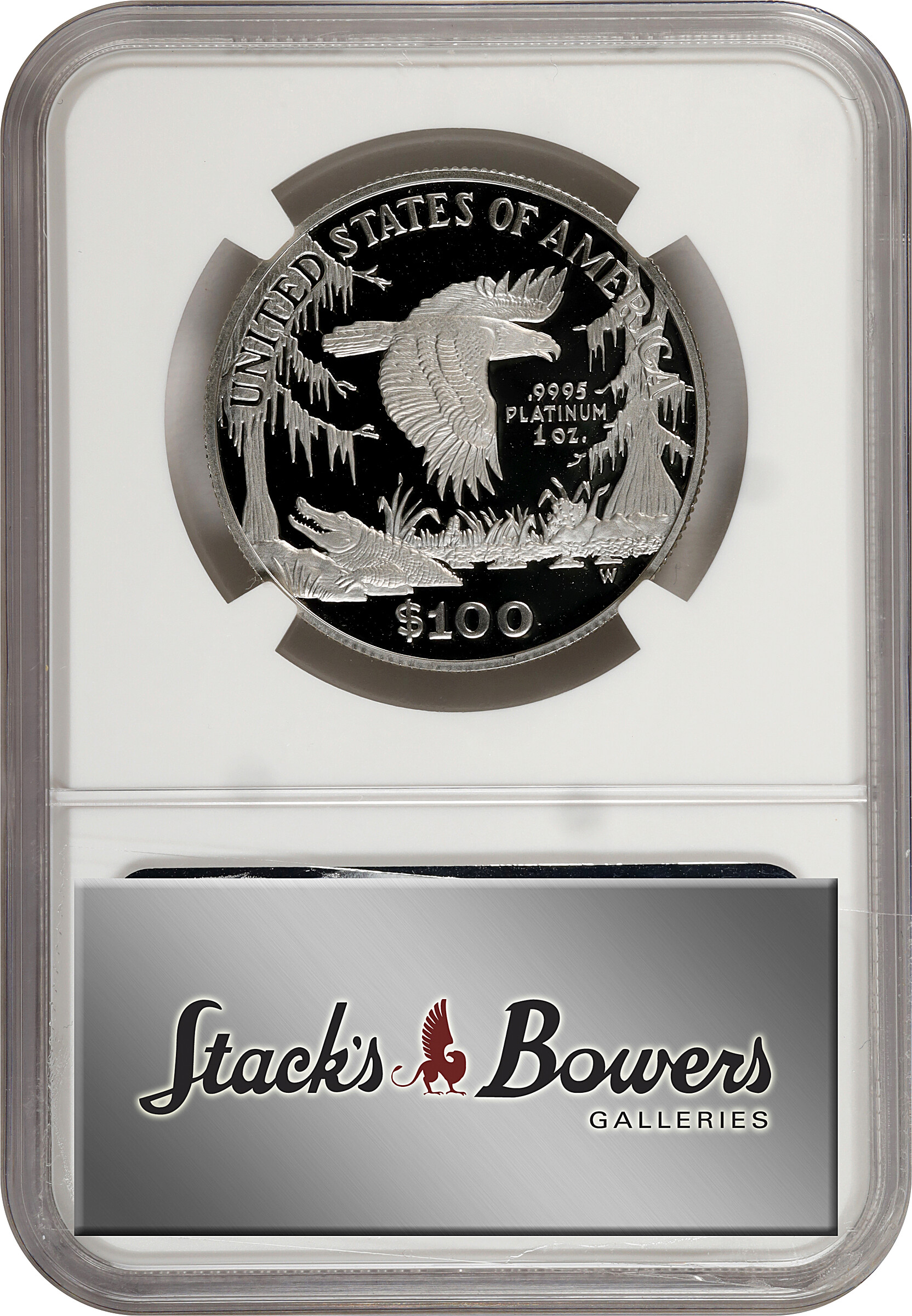 1999-W P$100  Platinum Eagle PR DCAM OGP thumbnail 26
