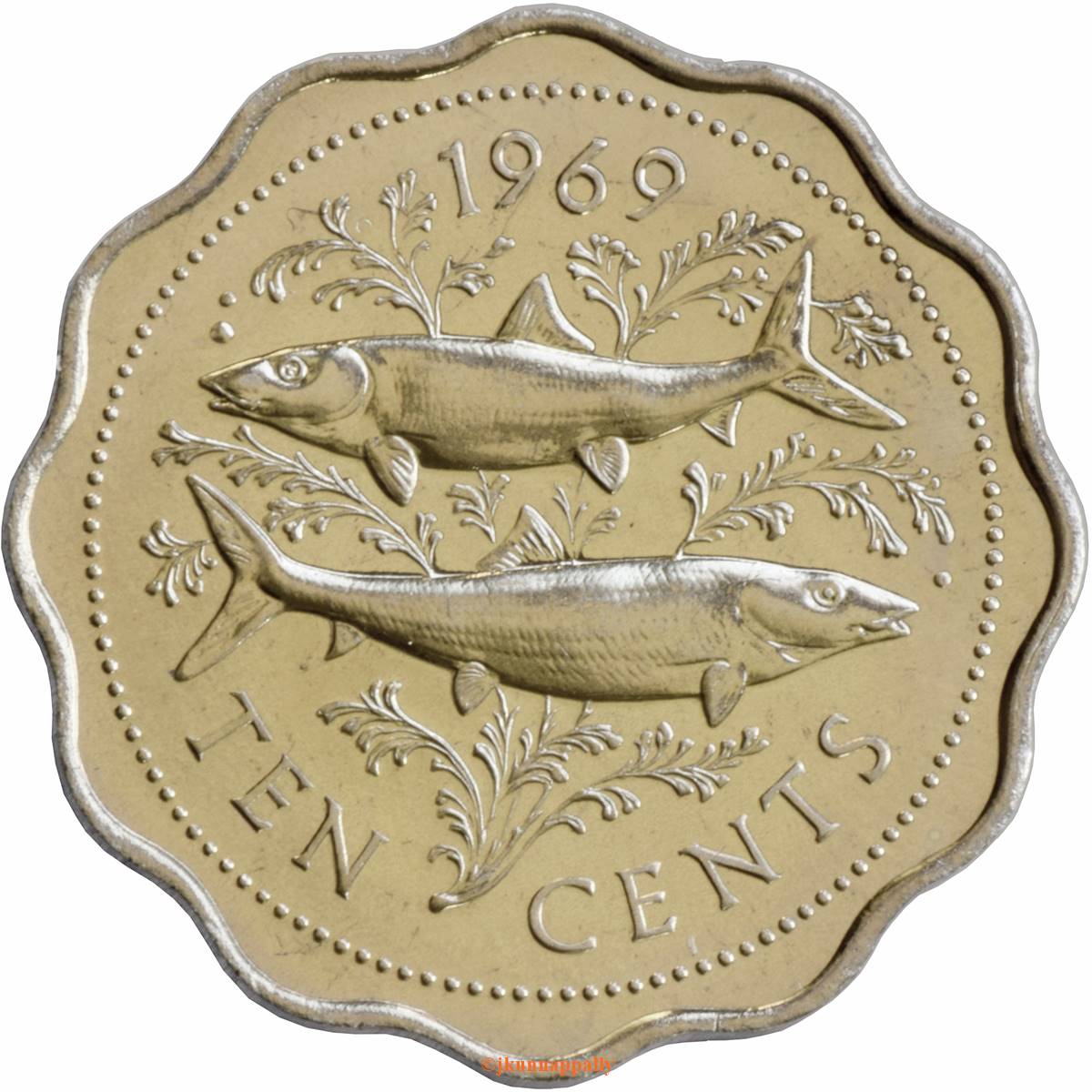 (1896-1313)  ½ Ru ١٣١٣ MS