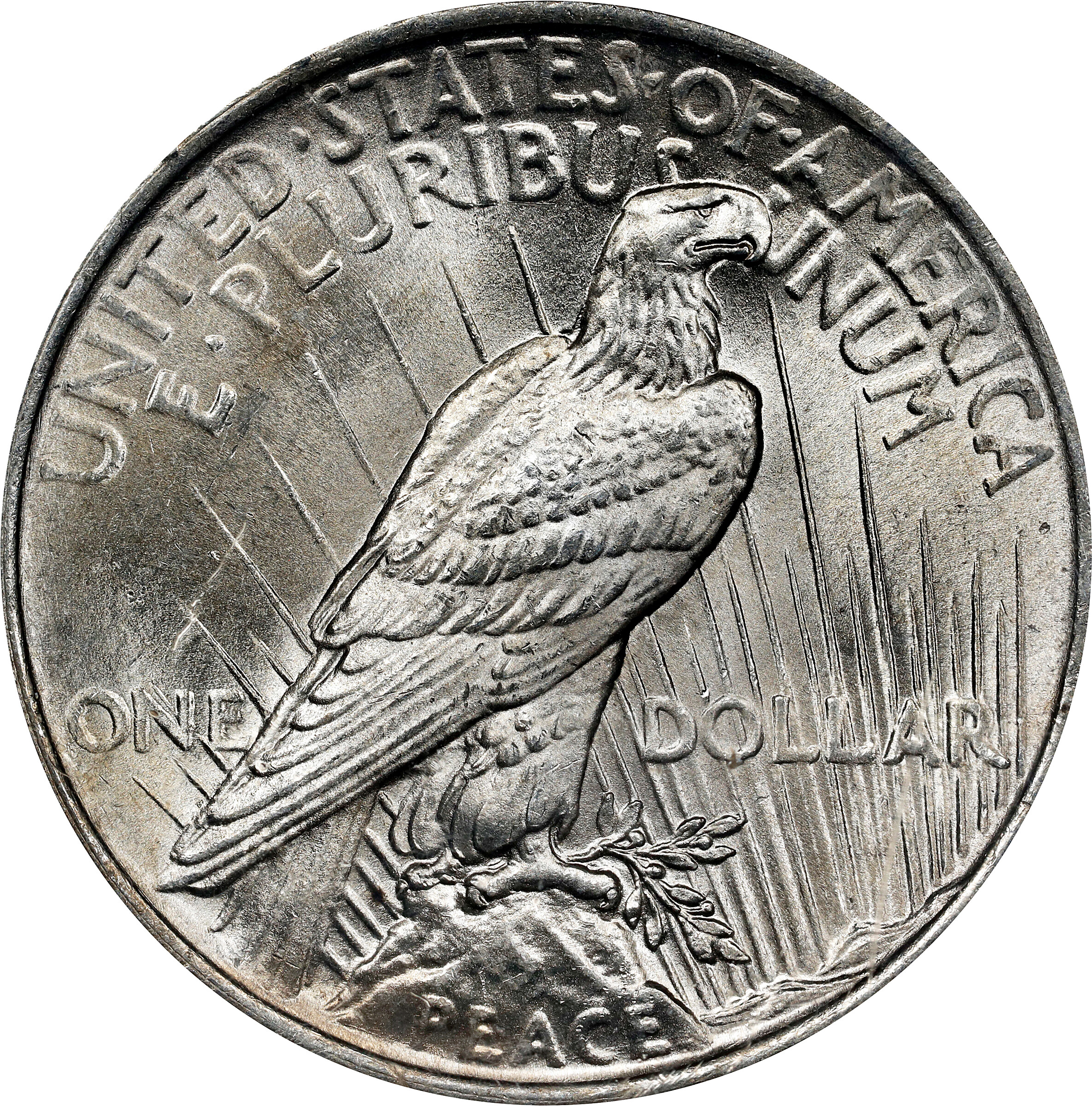1924 $1  Doubled Reverse, VAM-2 MS65 CAC thumbnail 10