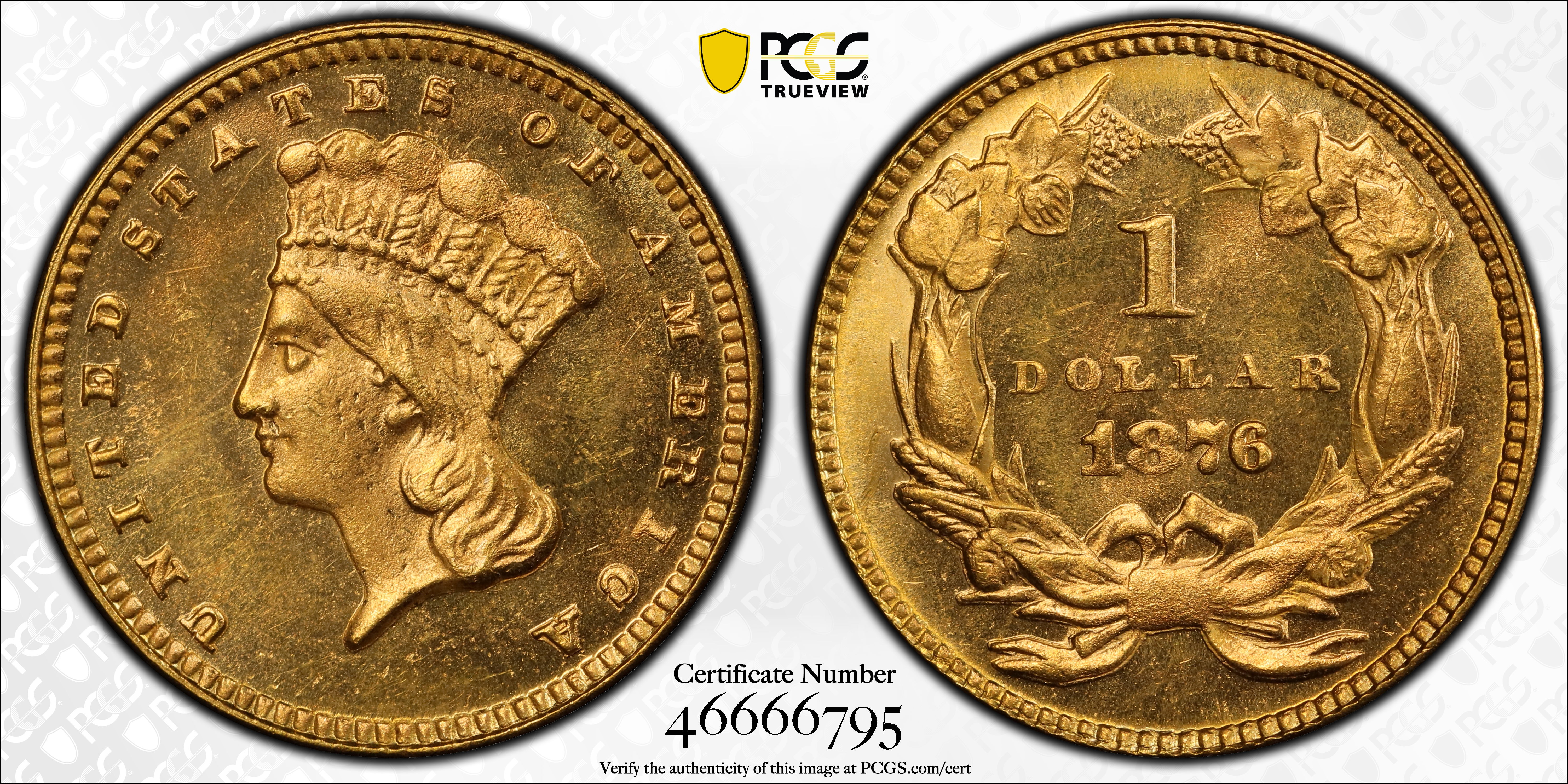 1876 G$1 MS PL thumbnail 13