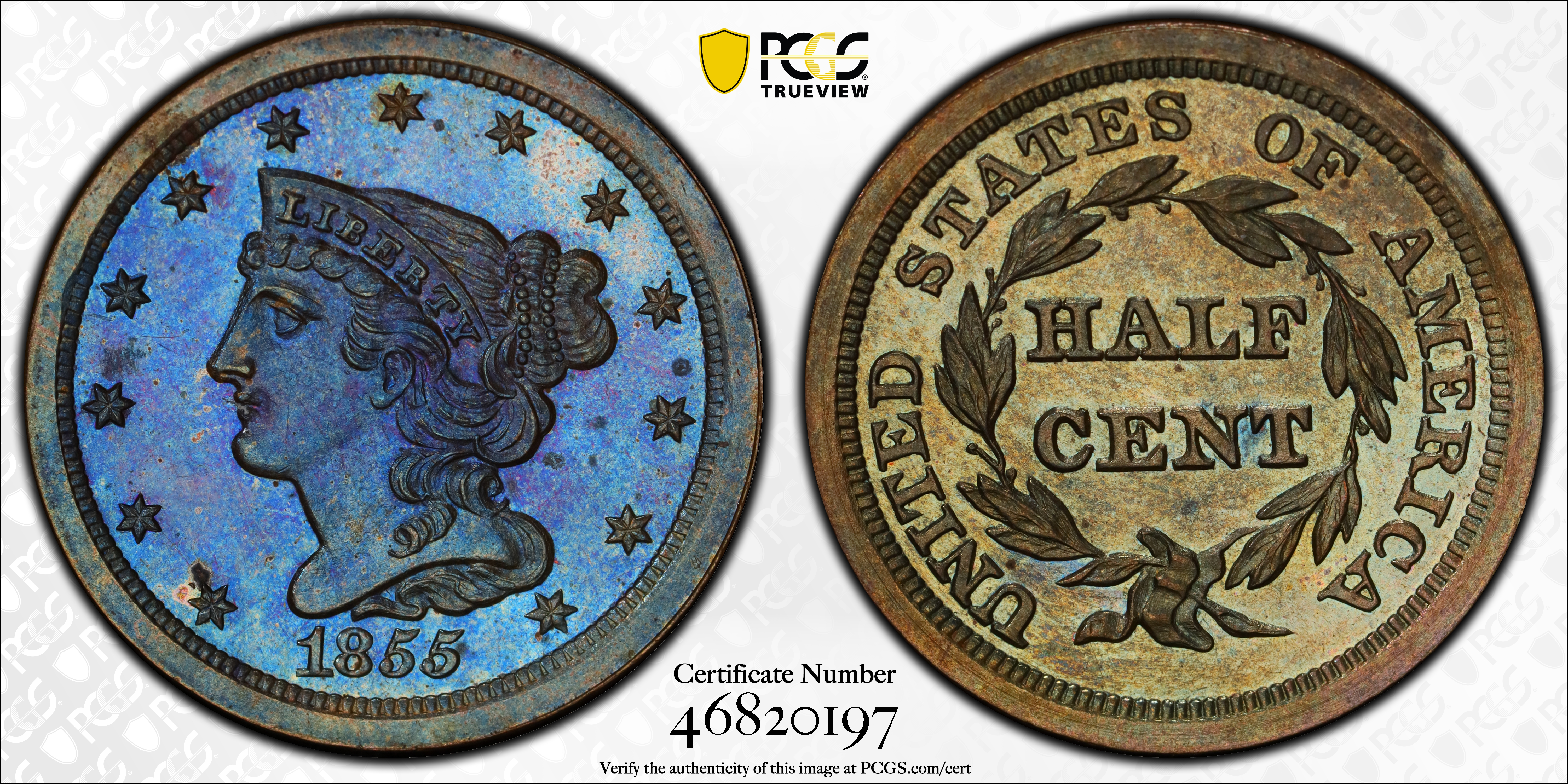 1855 1/2c PR BN thumbnail 13