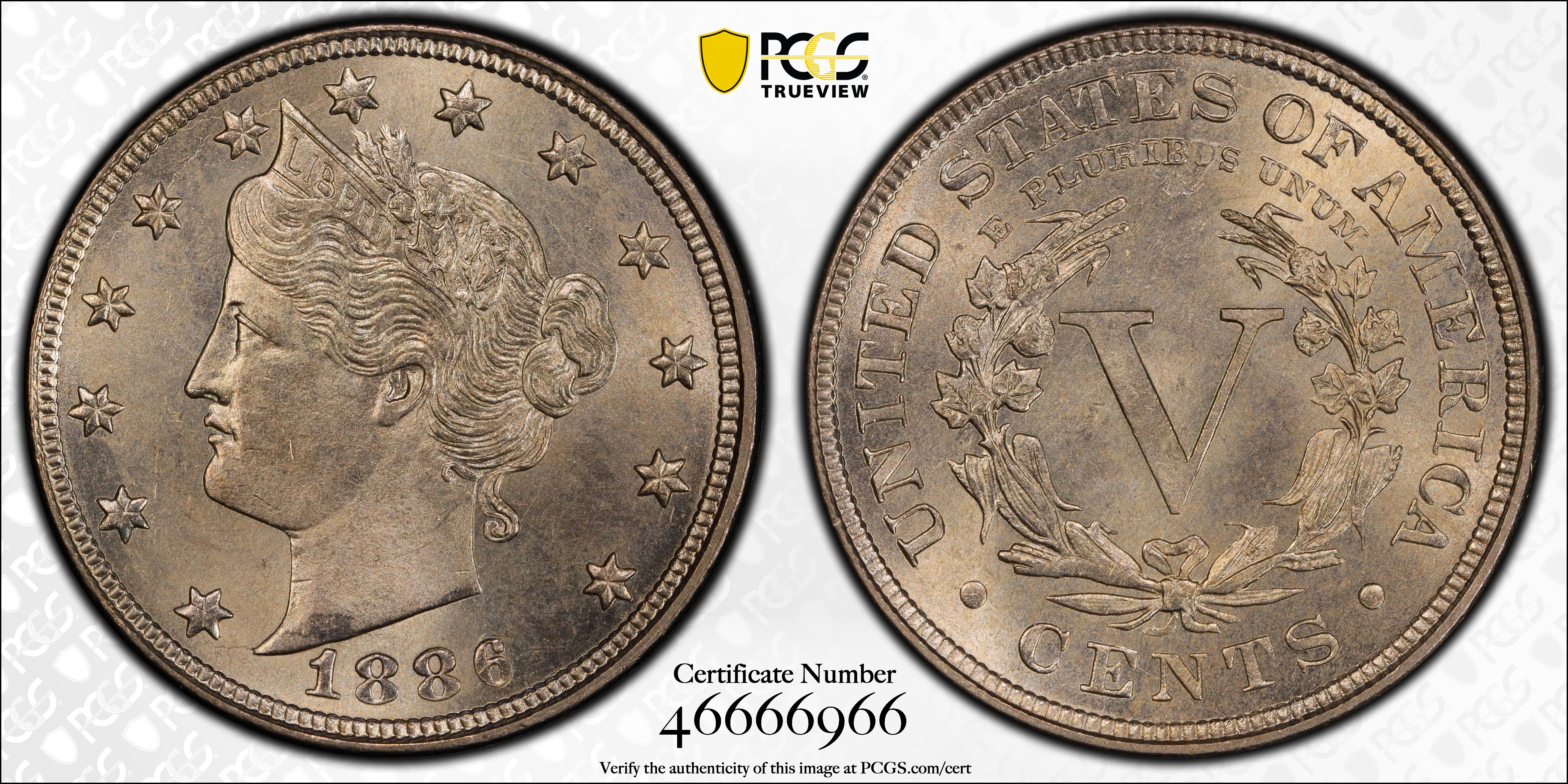 Image for 1886 5c Repunched Date, FS-301 MS