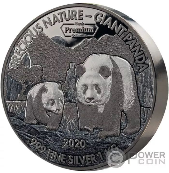 2020 10000 Fr Palladium and Rhodium Finish MS