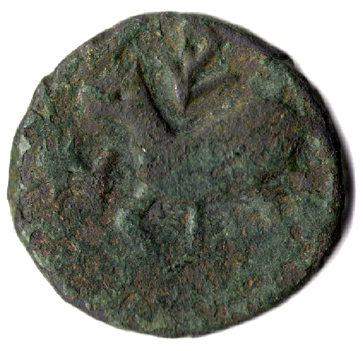 (1682-1093) 1/2 Bi ١٩٣   inverted   "٩" MS