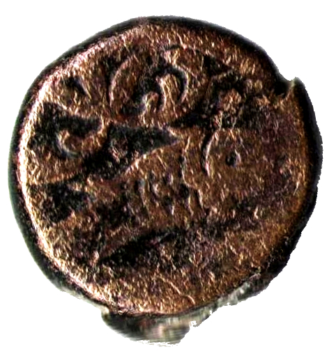 (1799-1213) 1/2 Bi ١٢١٣ MS