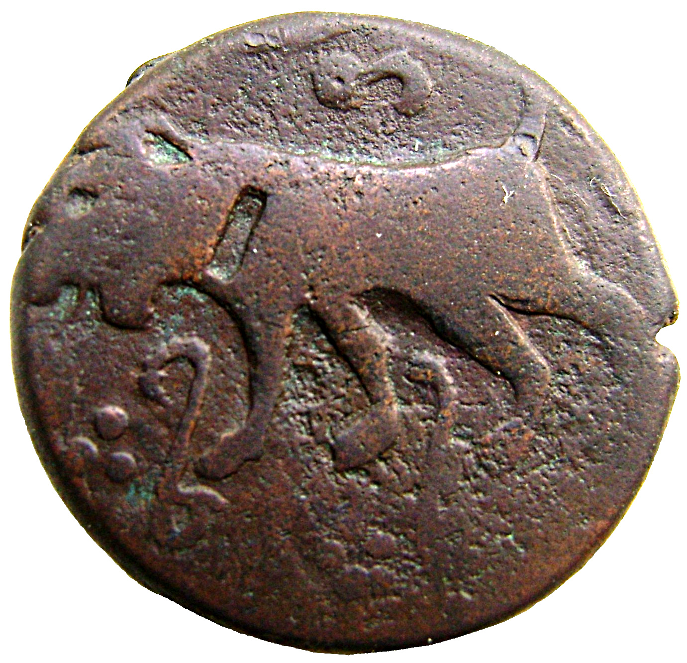 (1749-1162) 1/2 Bi ١١٦٢ at the bottom MS