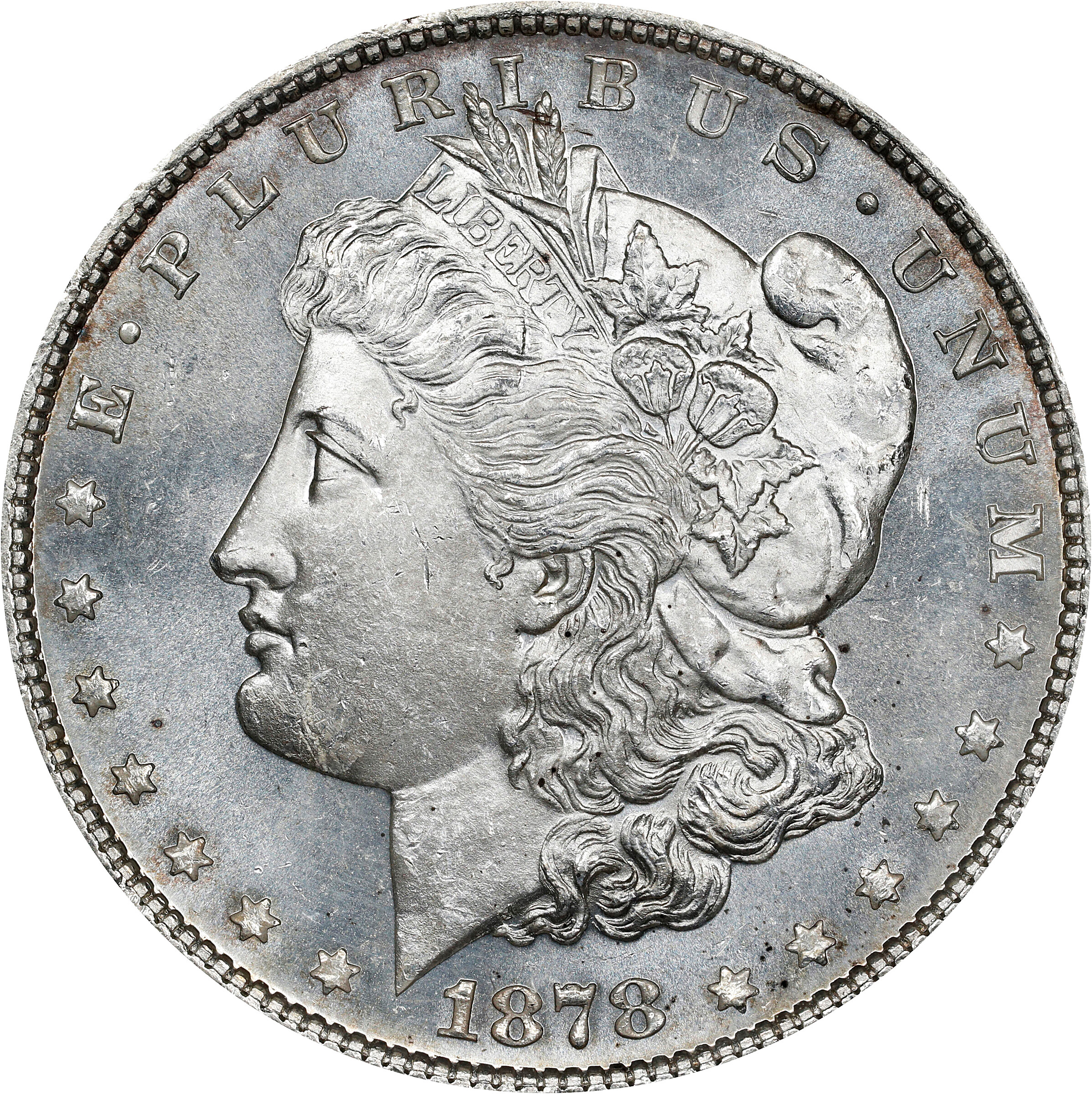 1878 Morgan Silver Dollar. 7 Tailfeathers. Reverse of 1878. VAM-45. Top 100 Variety. Doubled Talons. MS-63 (ANACS). OH.