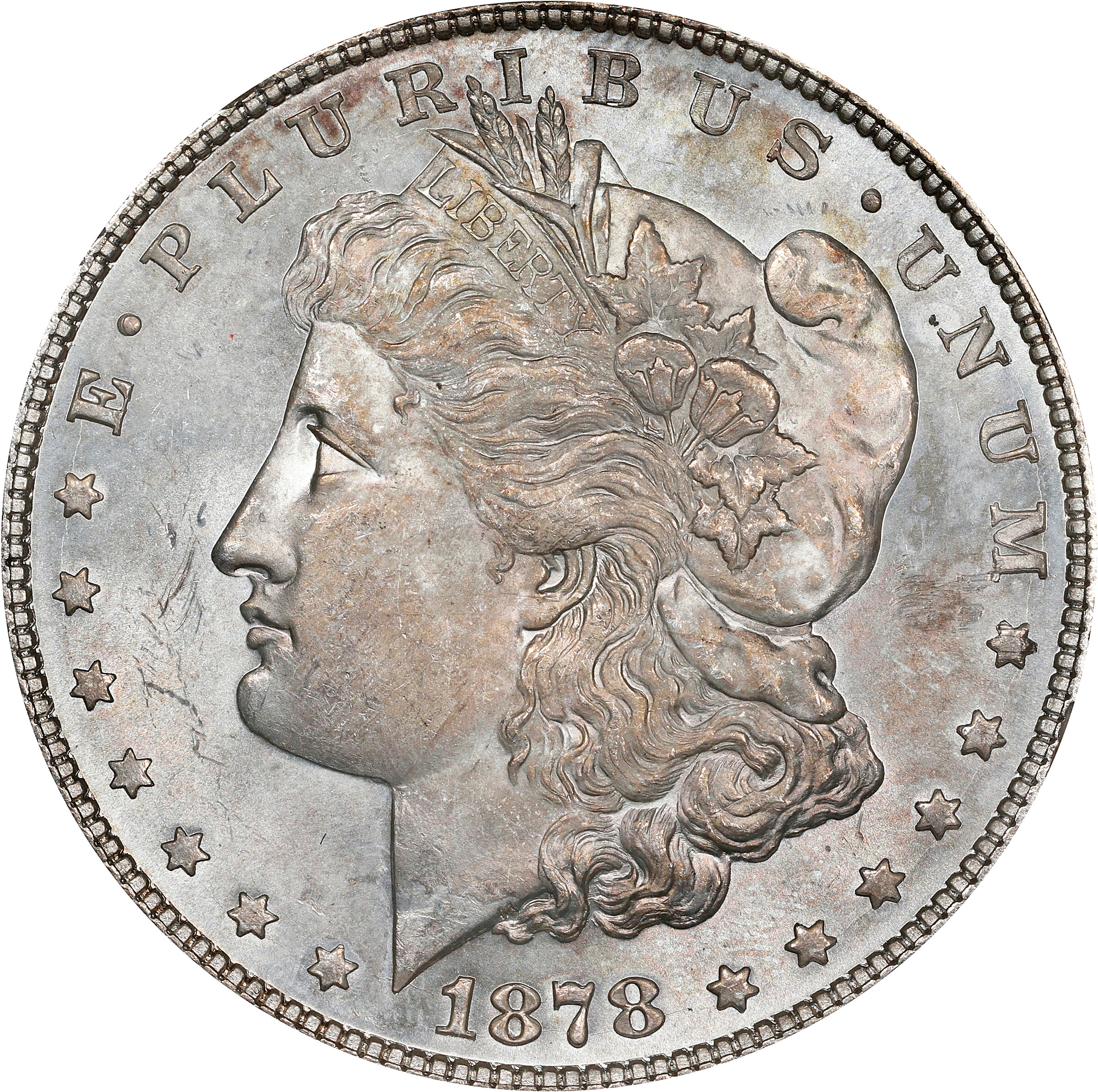 1878 Morgan Silver Dollar. 7 Tailfeathers. Reverse of 1878. VAM-70. Top 100 Variety. Doubled R-I-B. MS-62 (ANACS). OH.