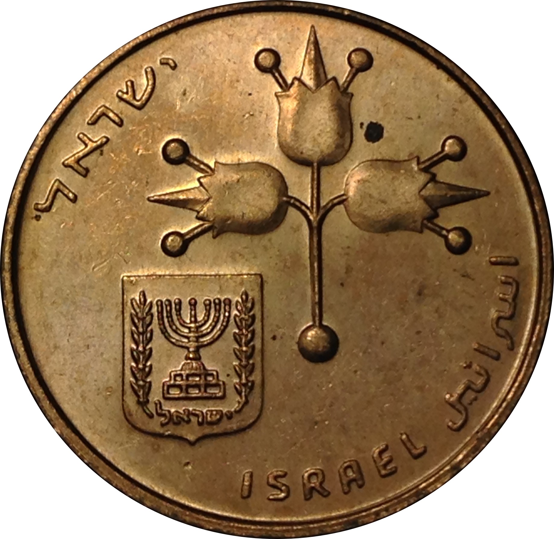(1980-5740) 10 Ne Ag תש׳׳ם (Winnipeg) MS