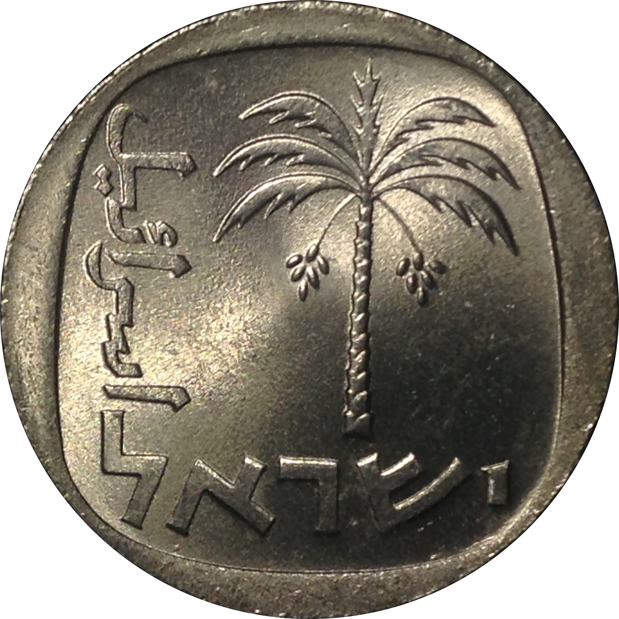 (1977-5737) 10 Ag תשל״ז (Polished Dies; RCM in Winnipeg) MS