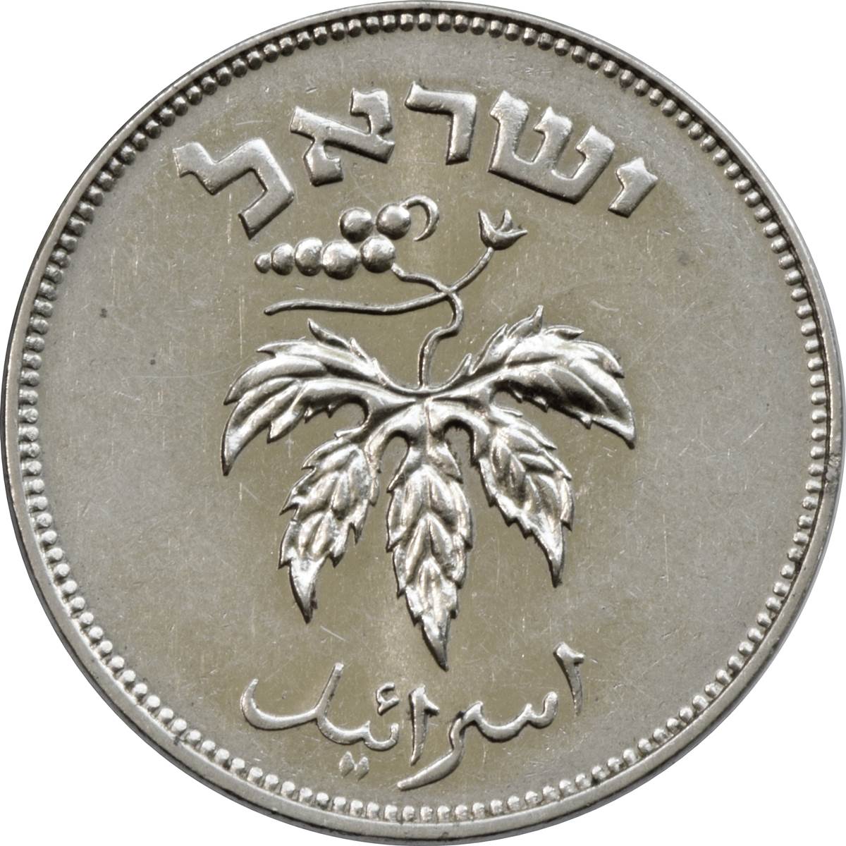 (1954-5714) 50 Pr תשי'ד MS
