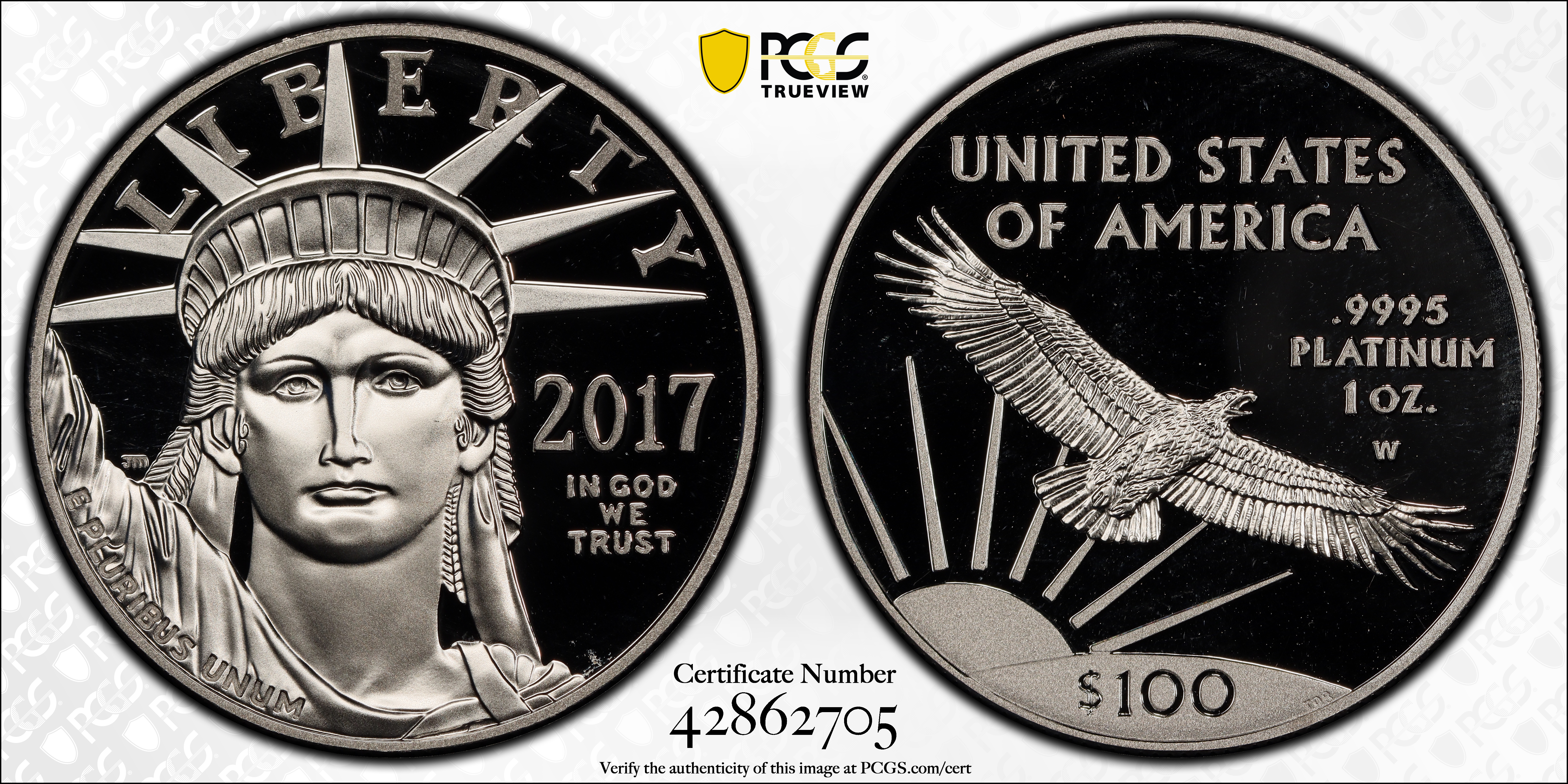 2017-W P$100  Platinum Eagle PR DCAM PR68 DCAM CAC thumbnail 22