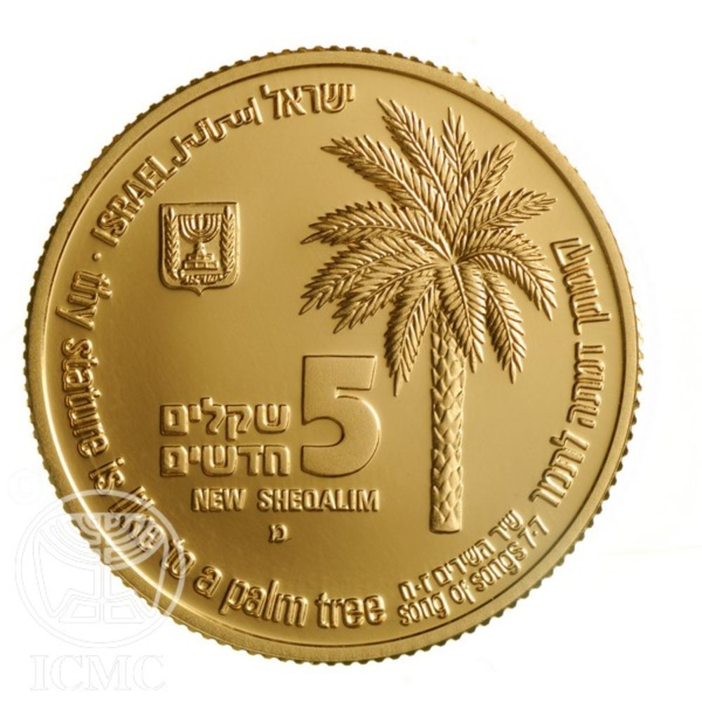 (1995-5755) 5 Ne Sh MS