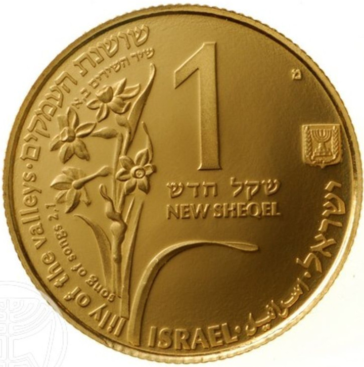 (1993-5753) 1 Ne Sh MS