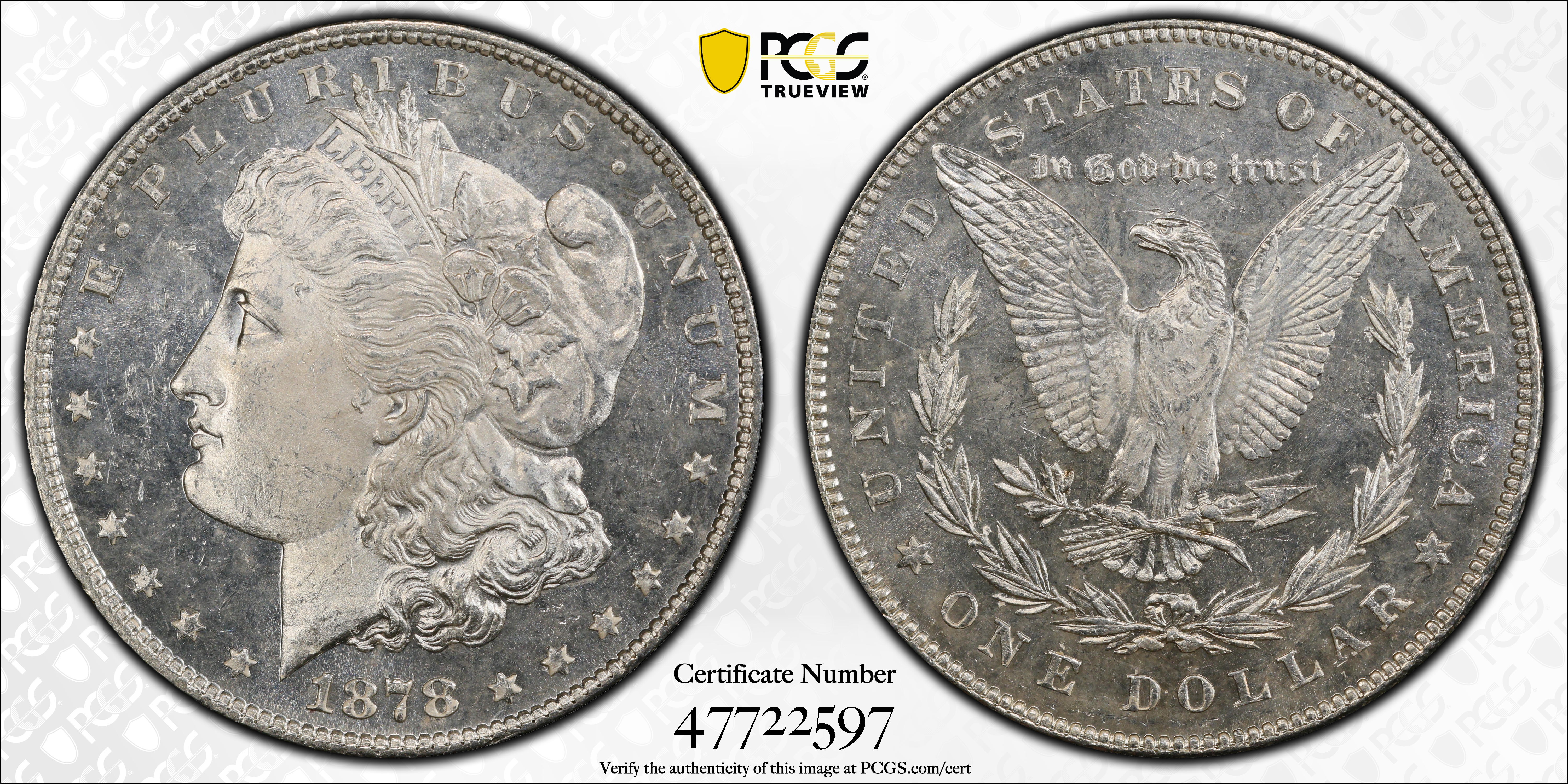 1878 7/8TF $1  Weak, 7/0TF, Line Thru Leg, VAM-31 MS DMPL MS62 DMPL thumbnail 22