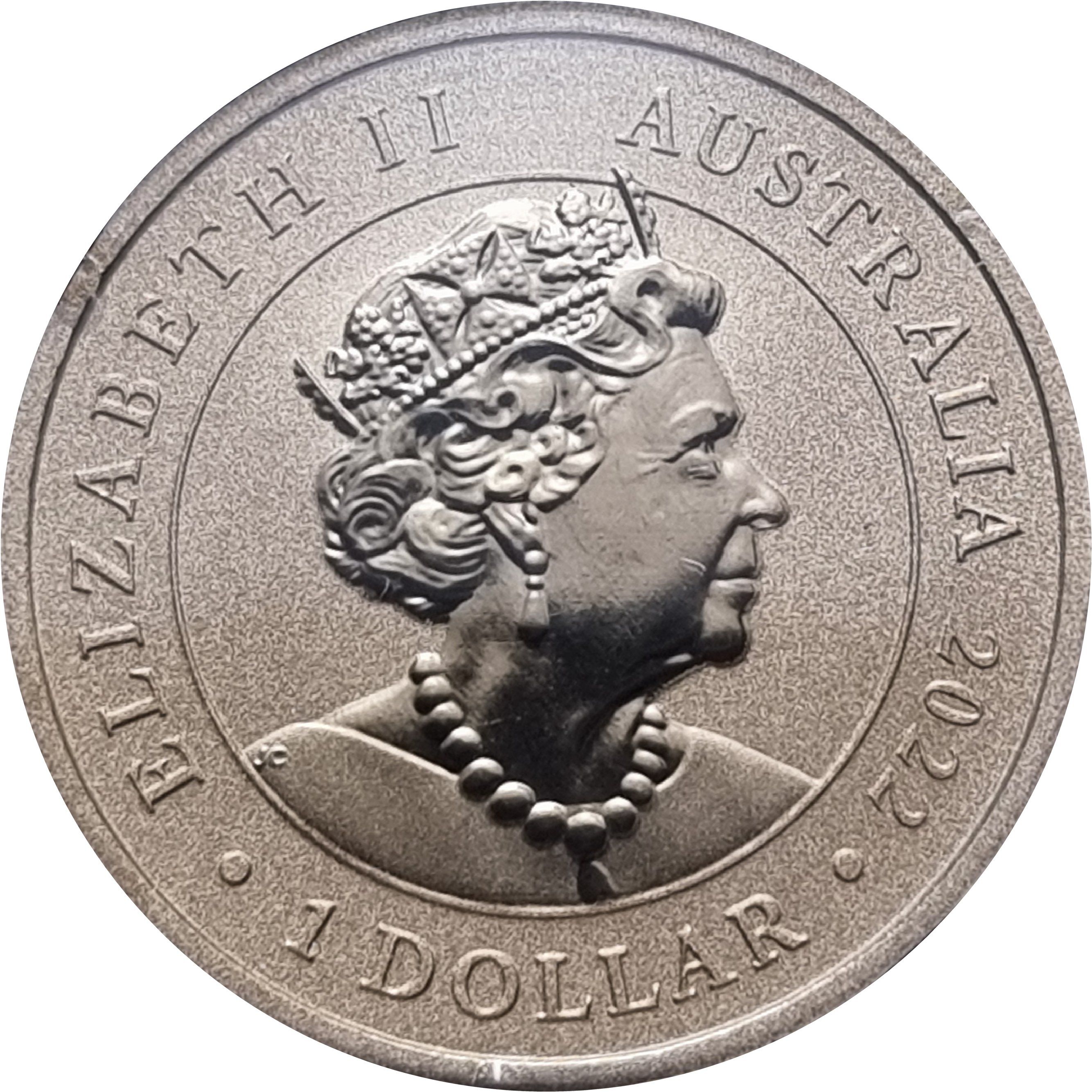 2022 P 1 Do BU in PNC MS