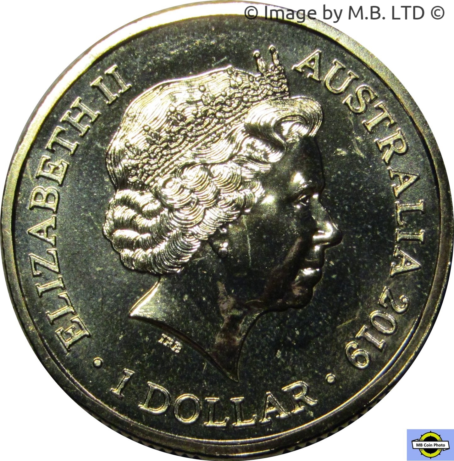 2019 1 Do BU in Coincard MS