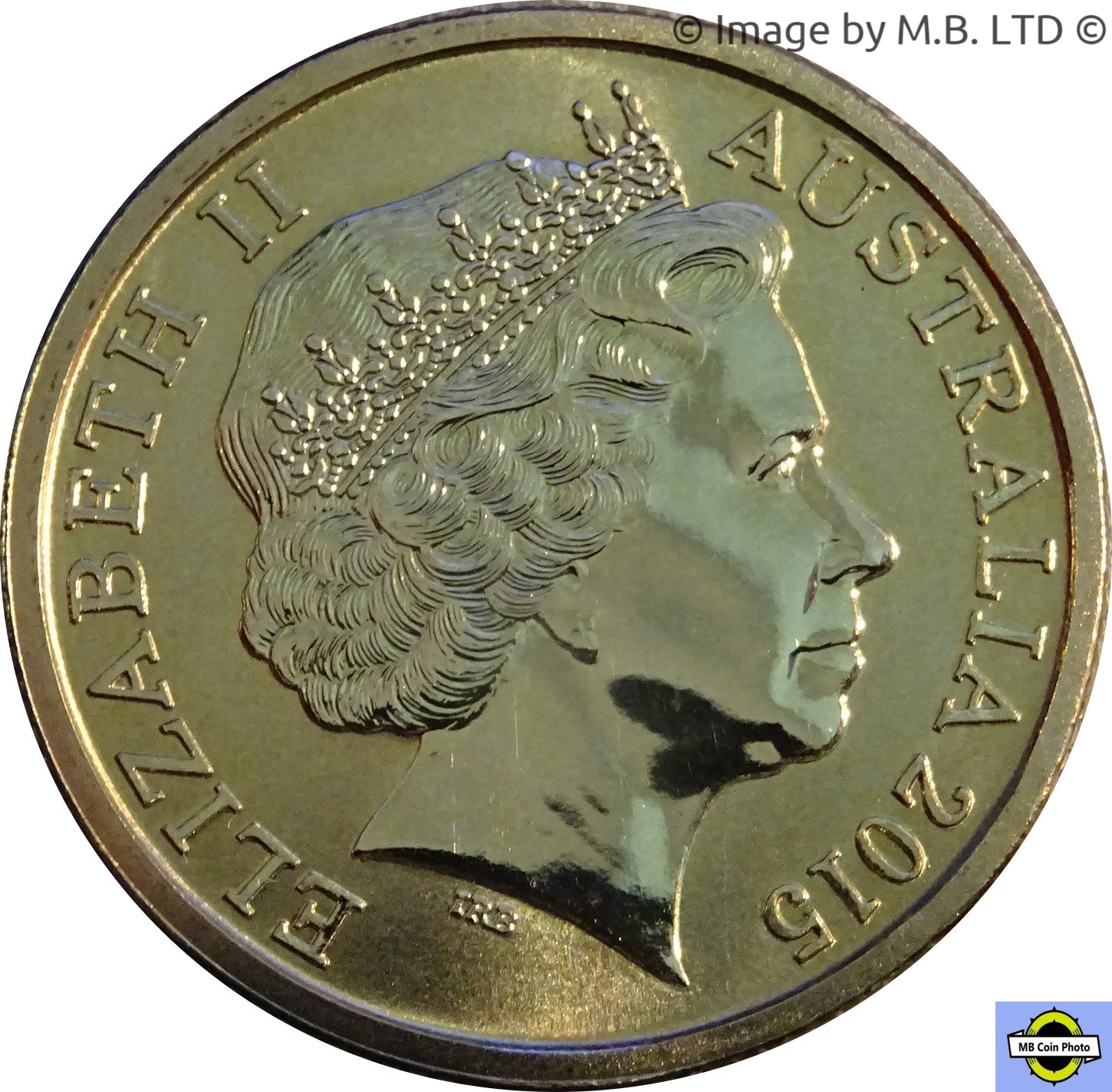 2015 1 Do BU in Coincard MS