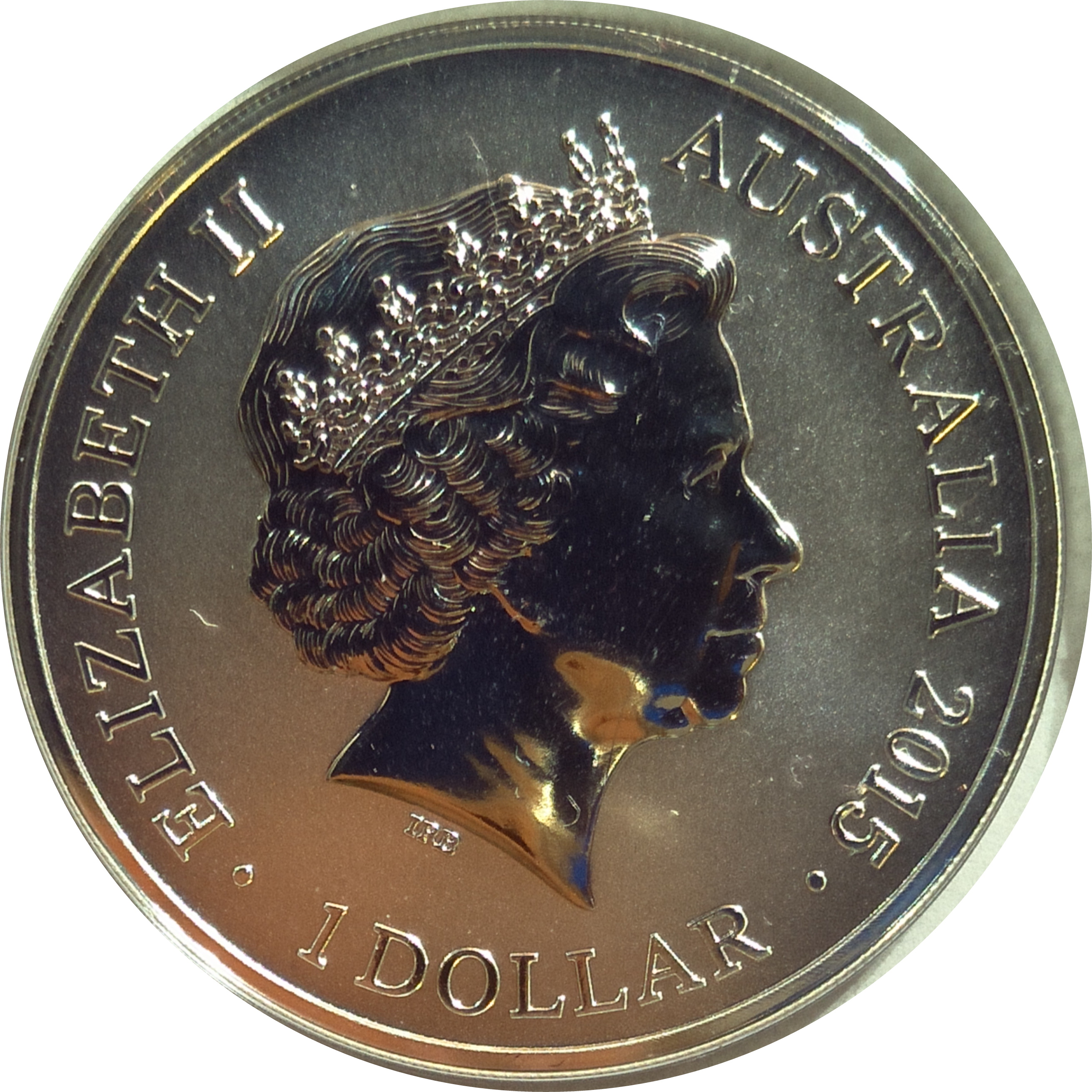 2015 1 Do UNC - Frosted MS