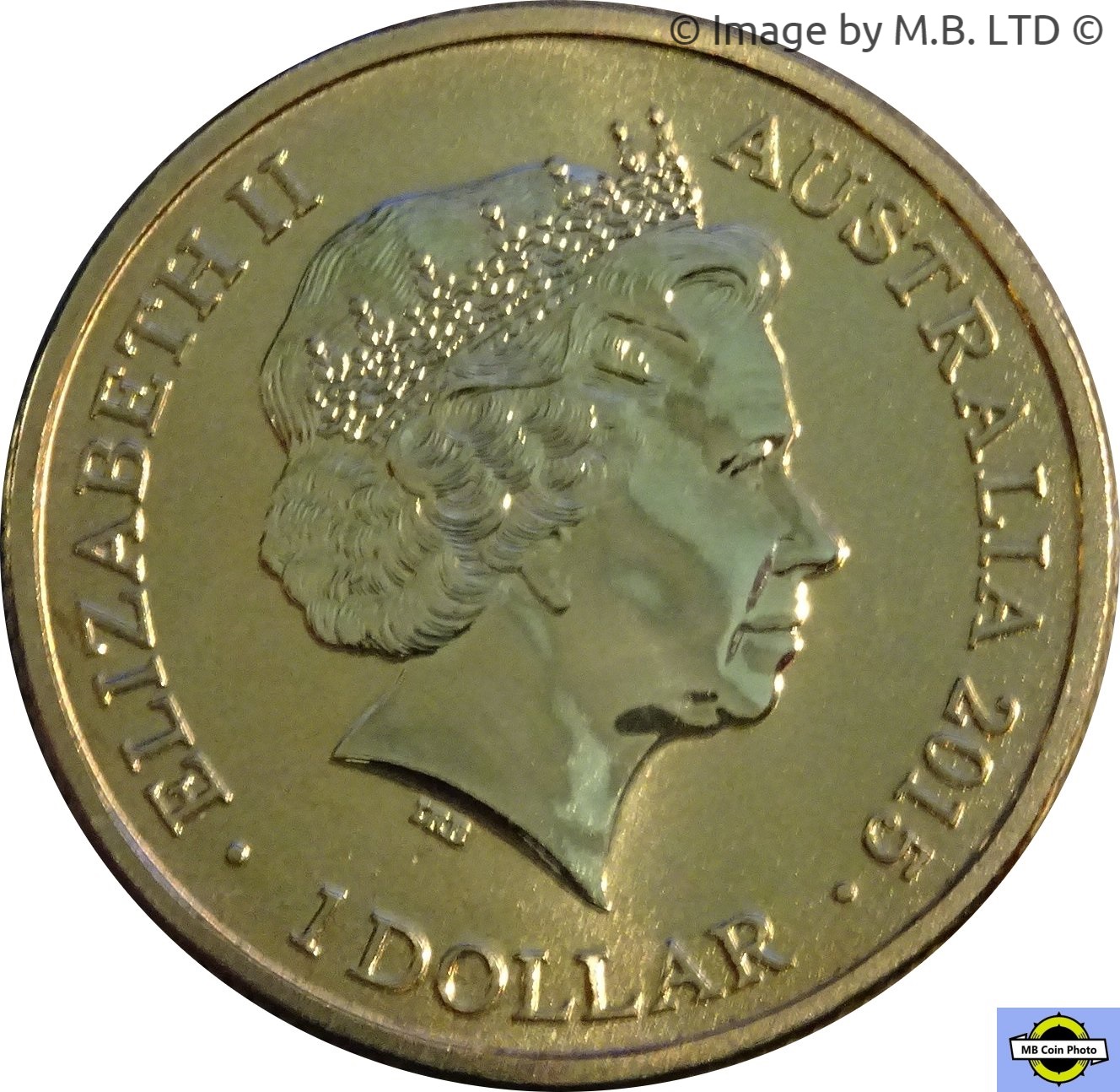 2015 1 Do BU in Coincard MS