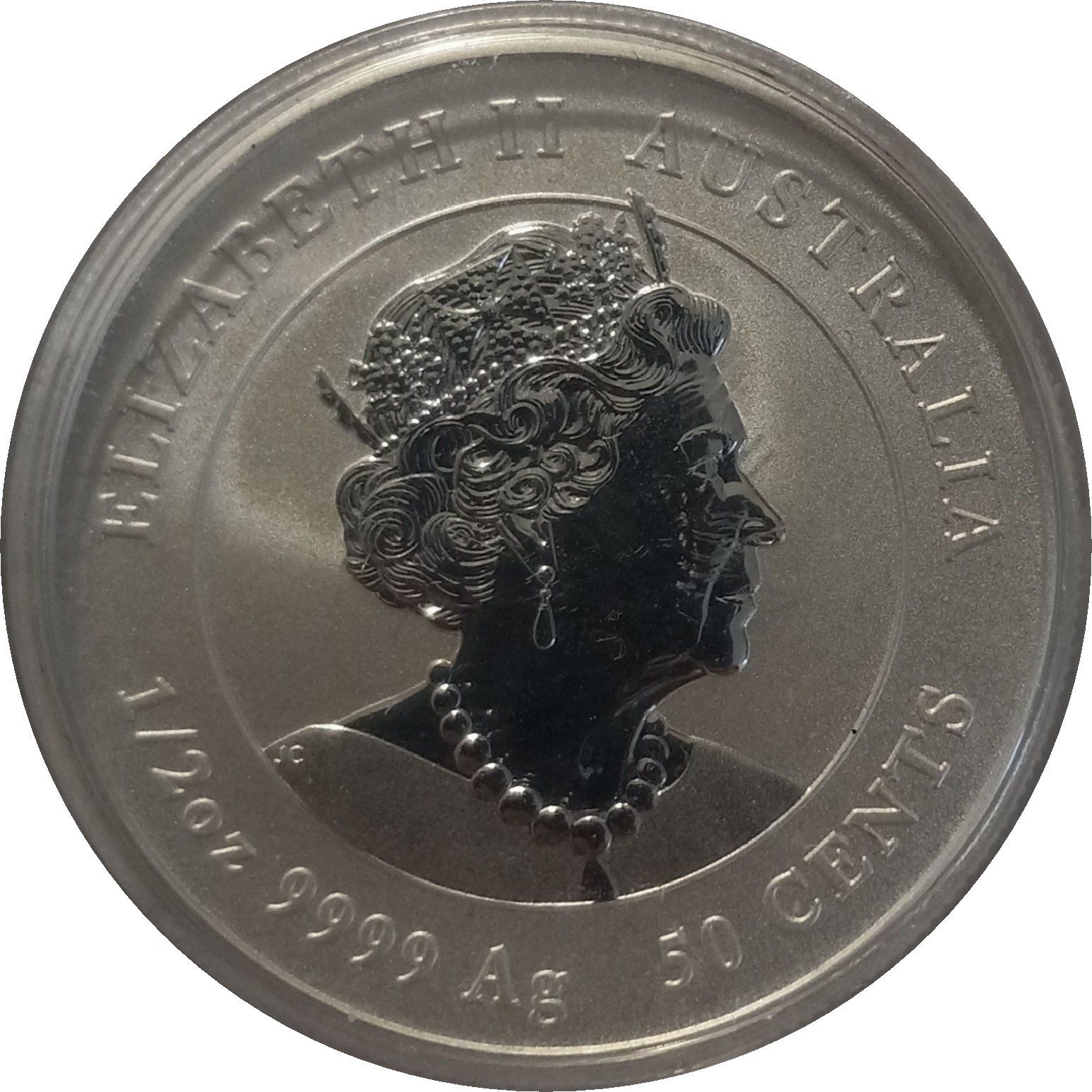 2020 P 50 Ce BU - Coloured MS