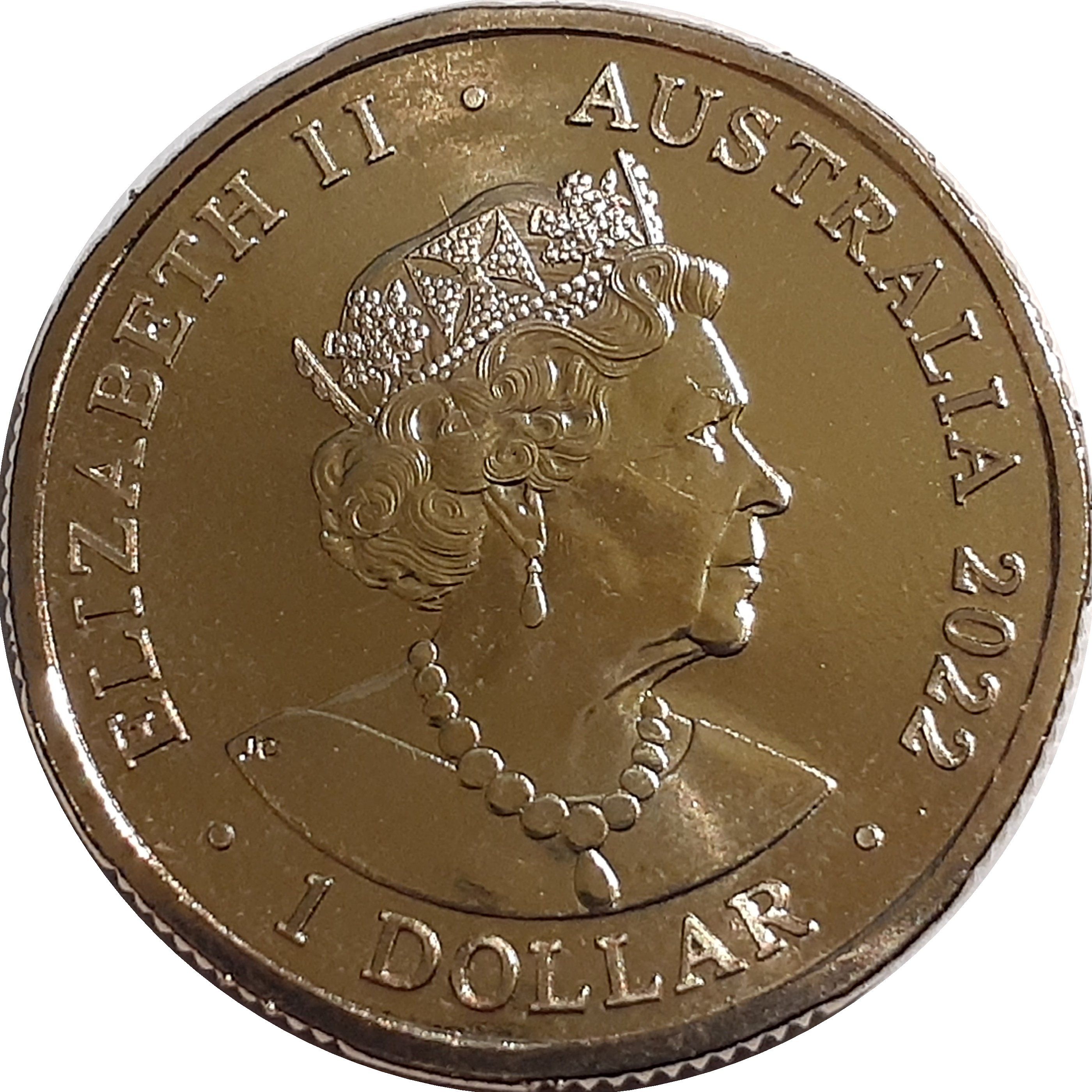 2022 1 Do BU in Coincard MS