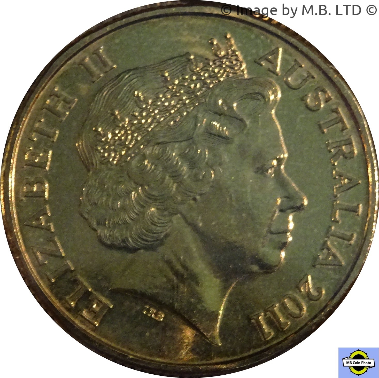 2011 1 Do BU in Coincard MS