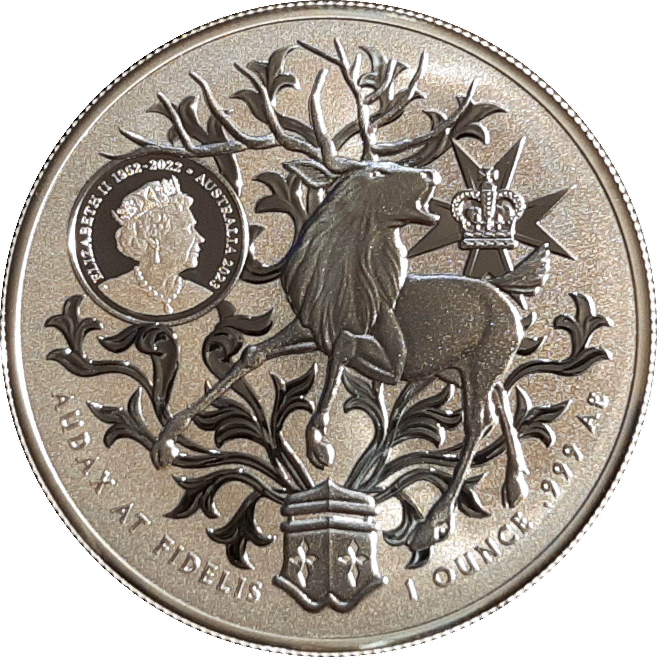 2023 1 Do BU in Capsule MS