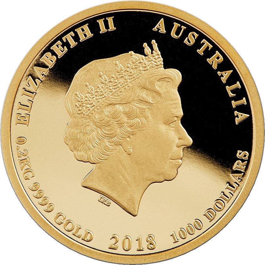 2018 P 1000 Do BU MS