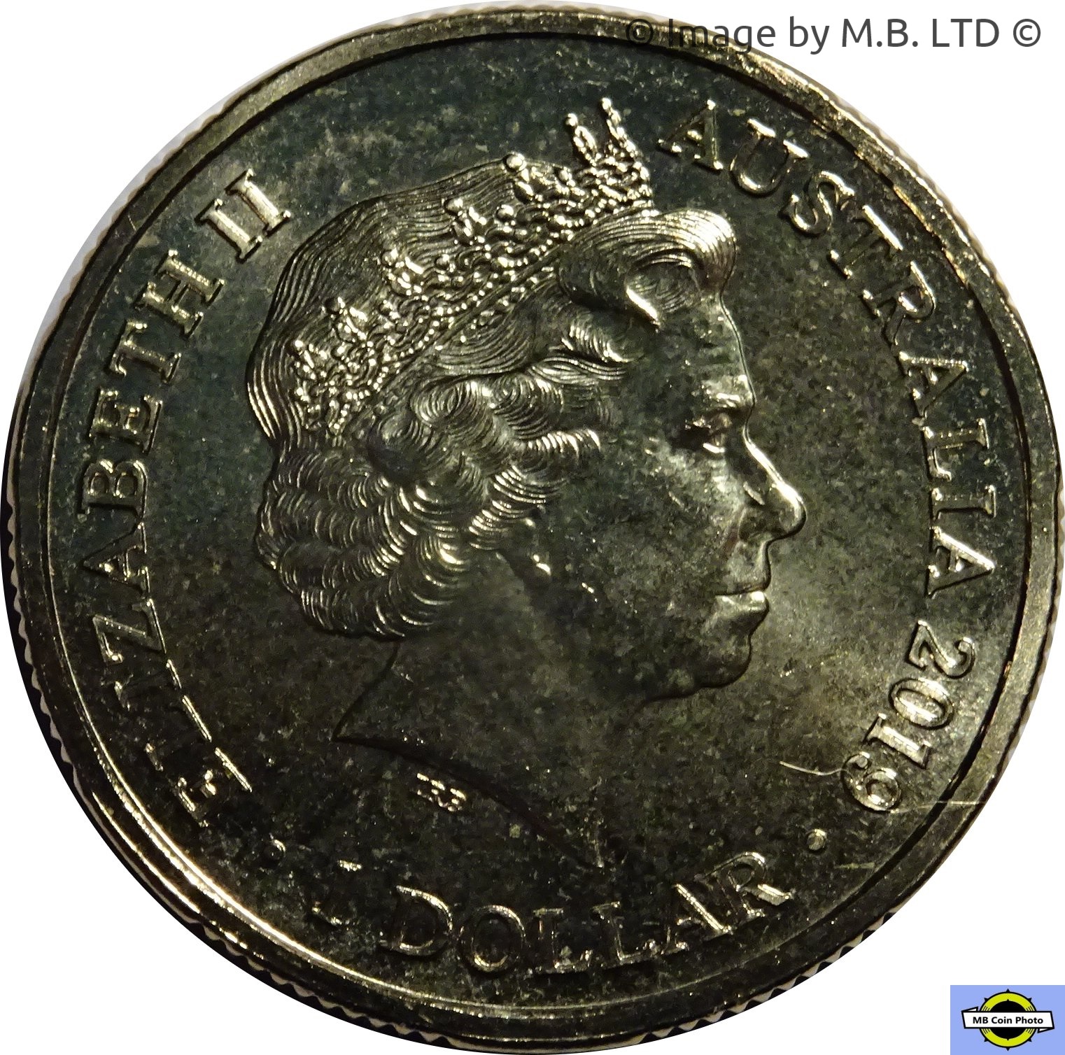 2019 1 Do BU in Coincard MS