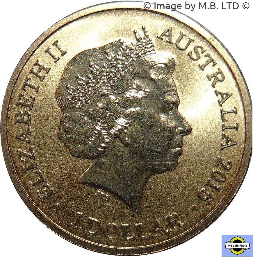 2015 1 Do BU - Frosted MS