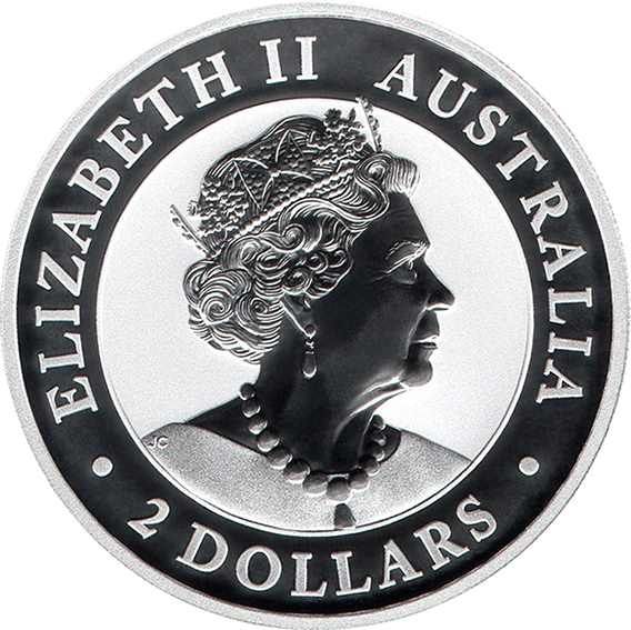 2020 P 2 Do BU - High Relief MS