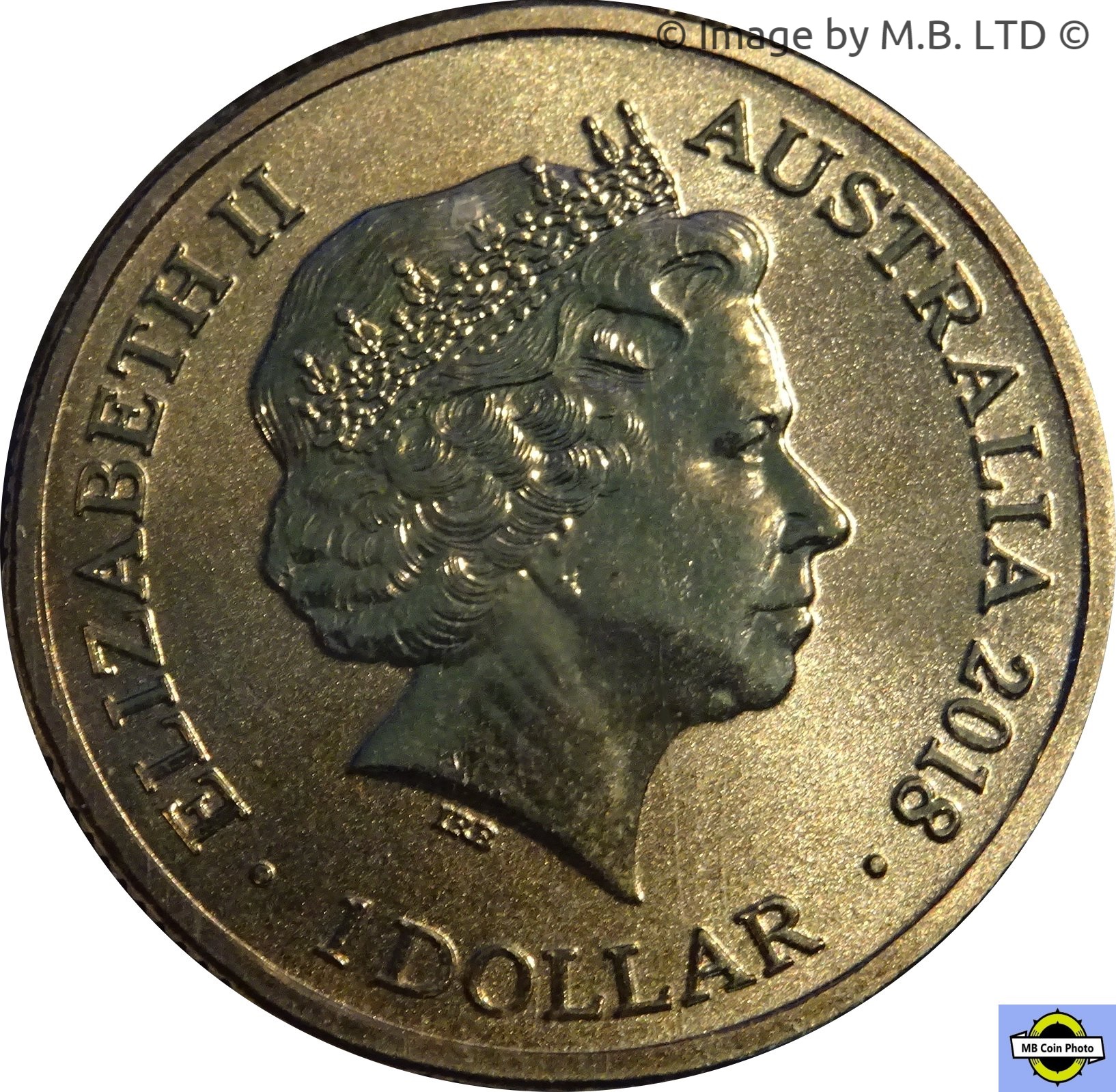 2018 1 Do BU in Coincard MS