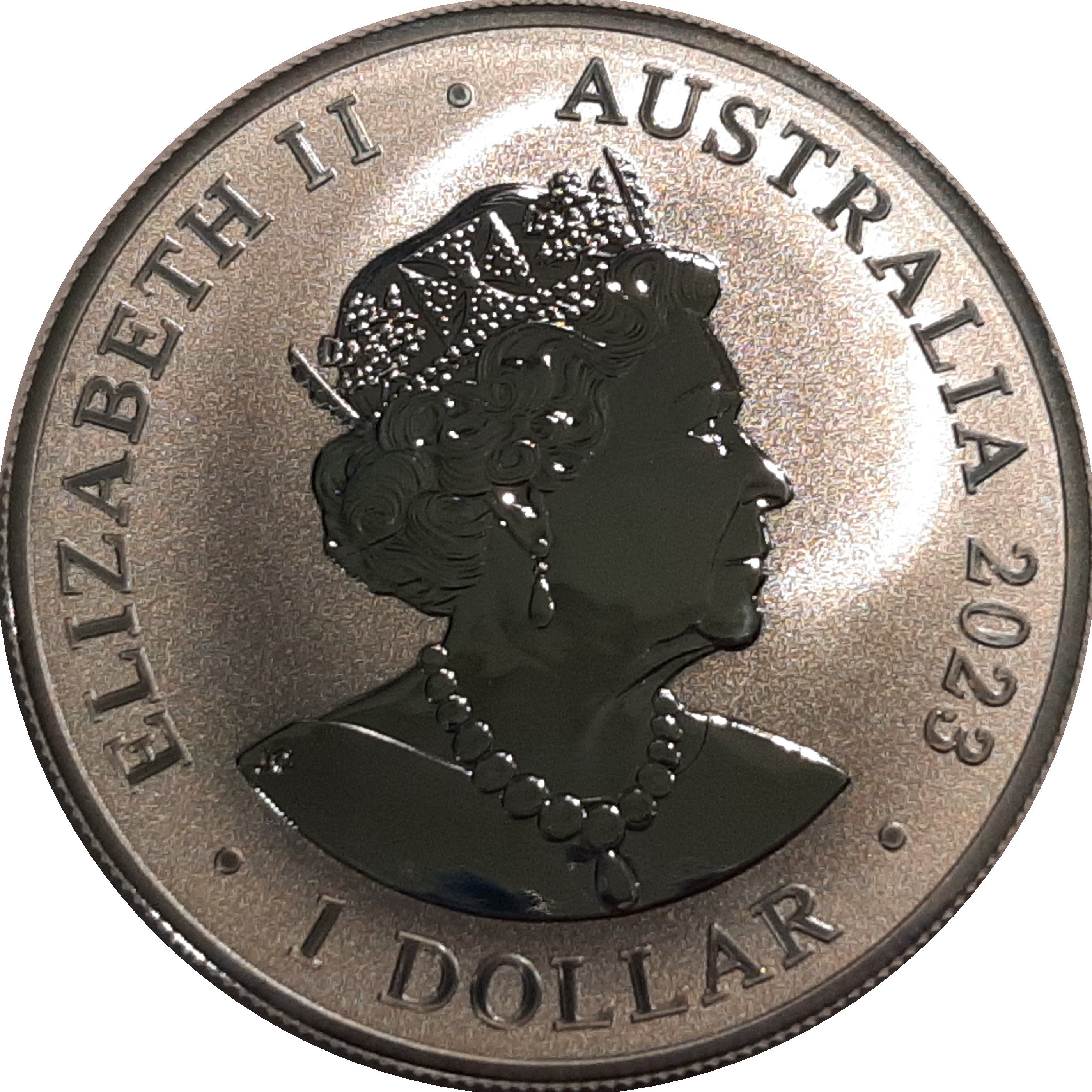 2023 1 Do BU in Capsule MS