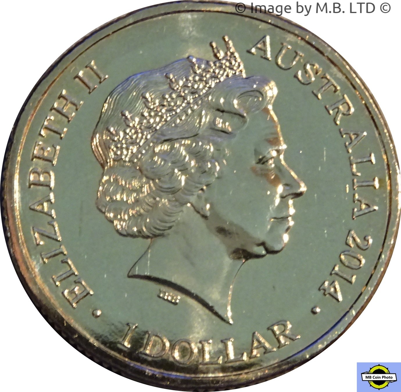 2014 1 Do BU in long Coincard MS