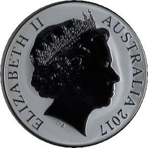 2017 1 Do BU - Reverse Frosted MS