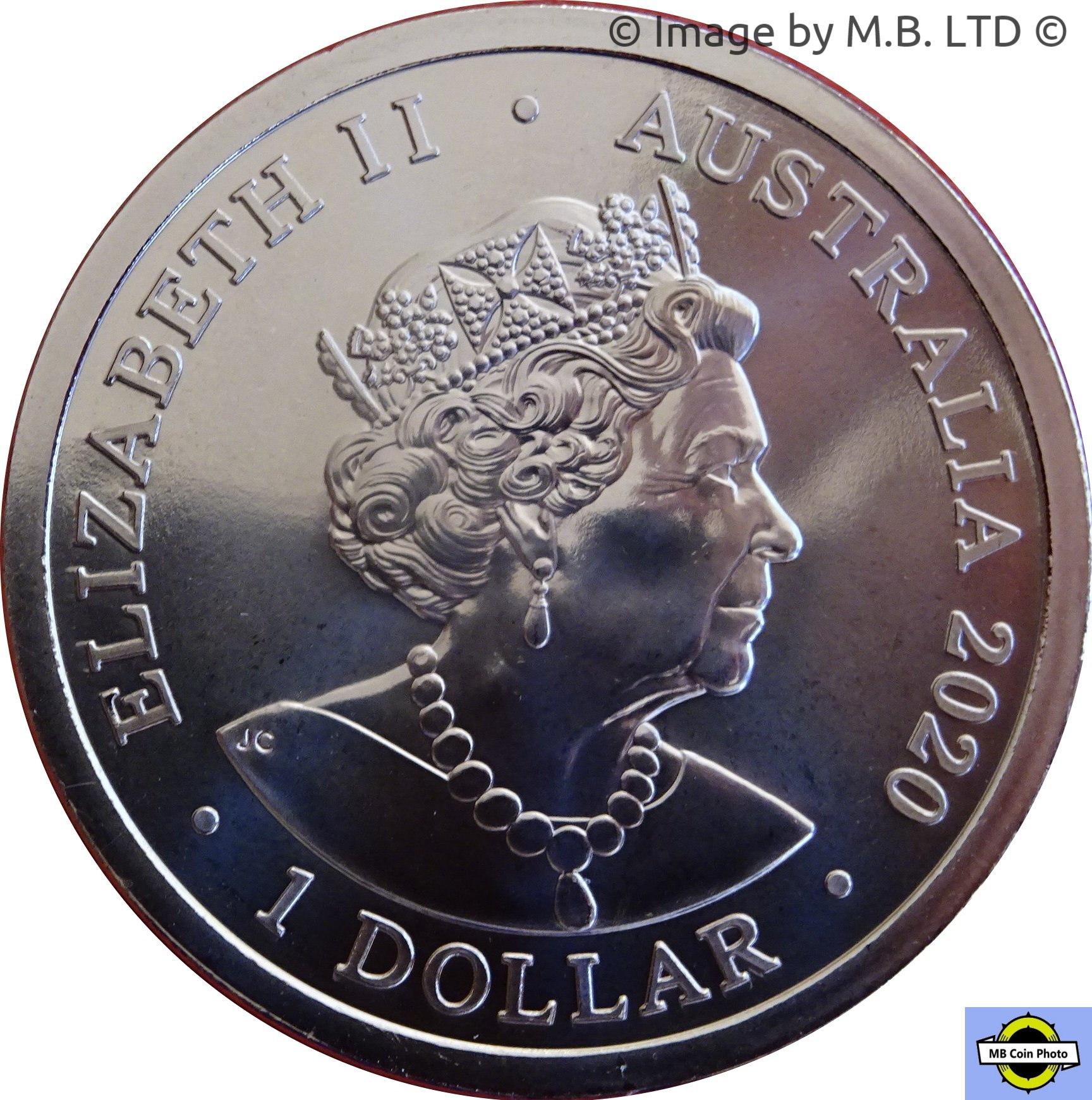 2020 1 Do BU in Coincard MS