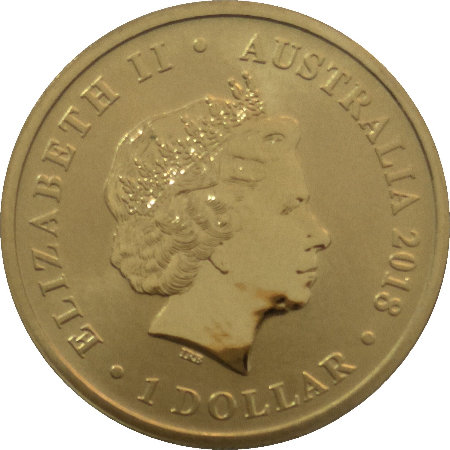 2018 P 1 Do BU in Coincard MS