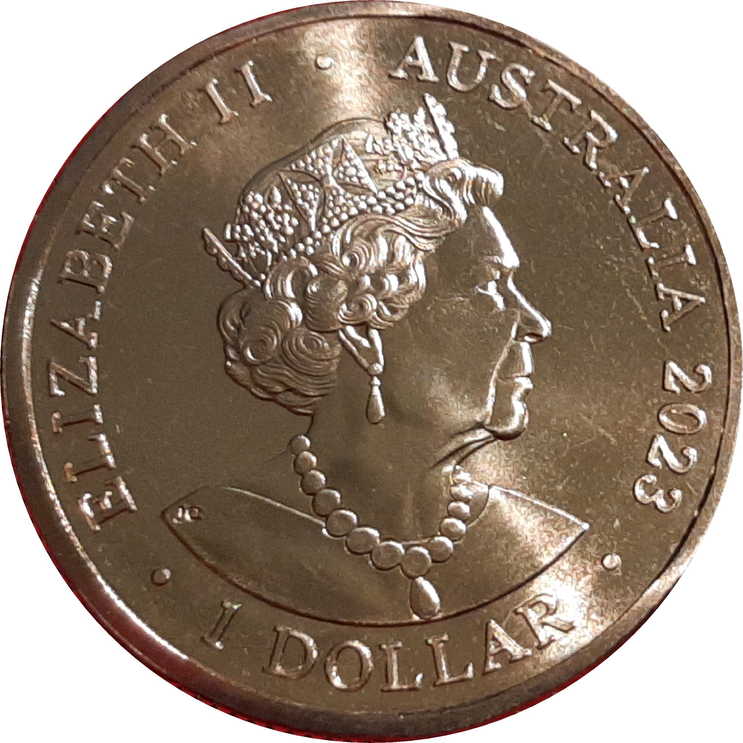 2023 1 Do BU in Dual Coincard MS