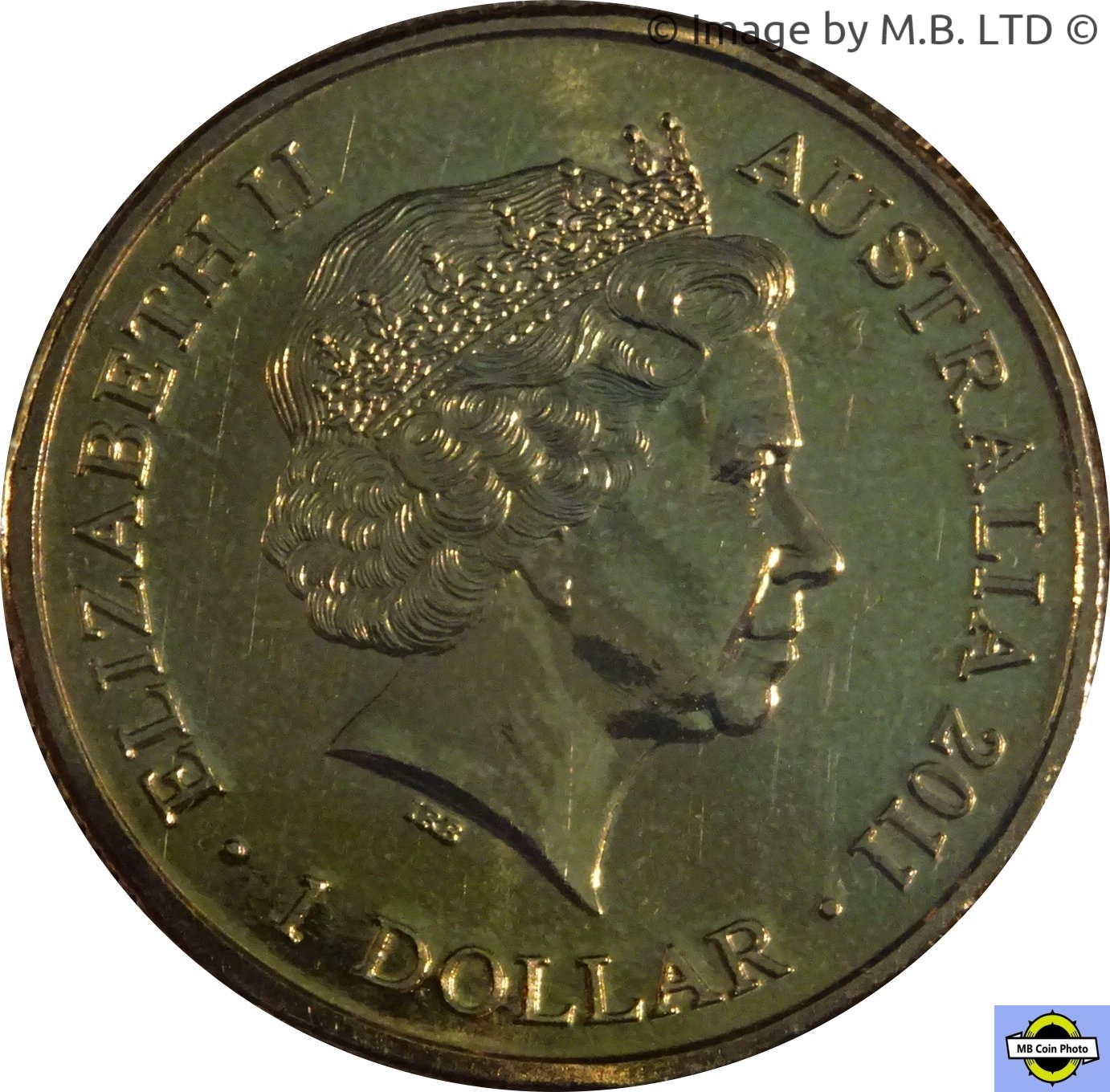 2011 1 Do BU in Coincard MS